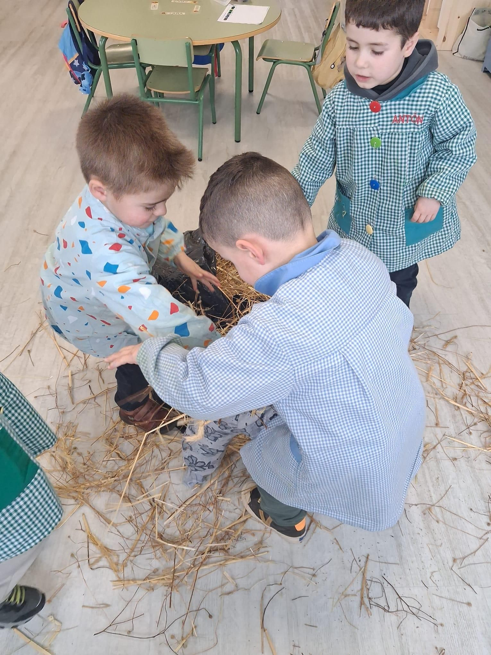 O Entroido no colexio de Sarreaus