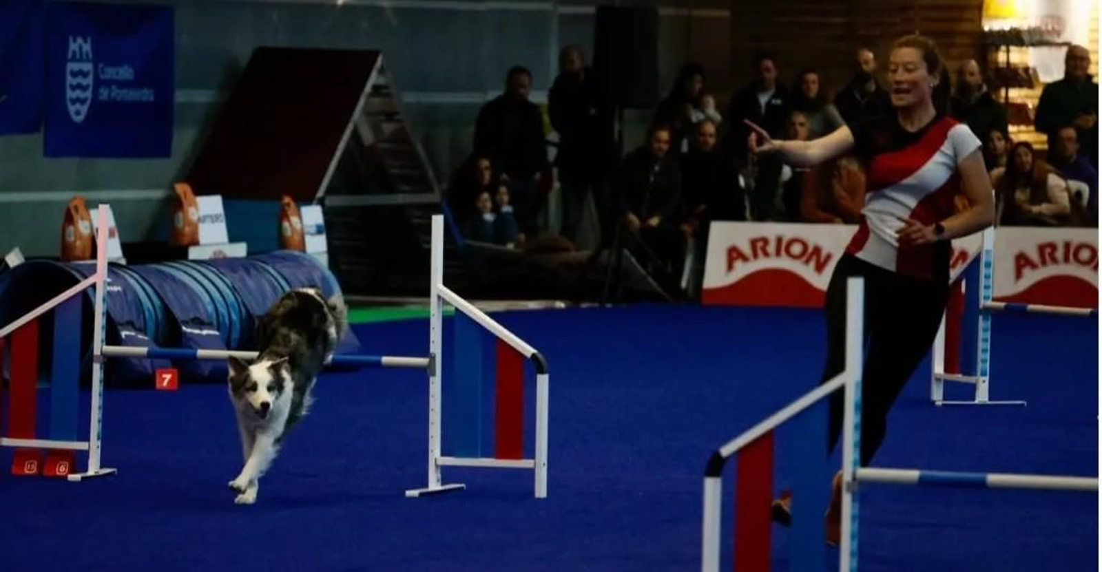 Unha das exhibicións celebrada na pasada feira do 2024.