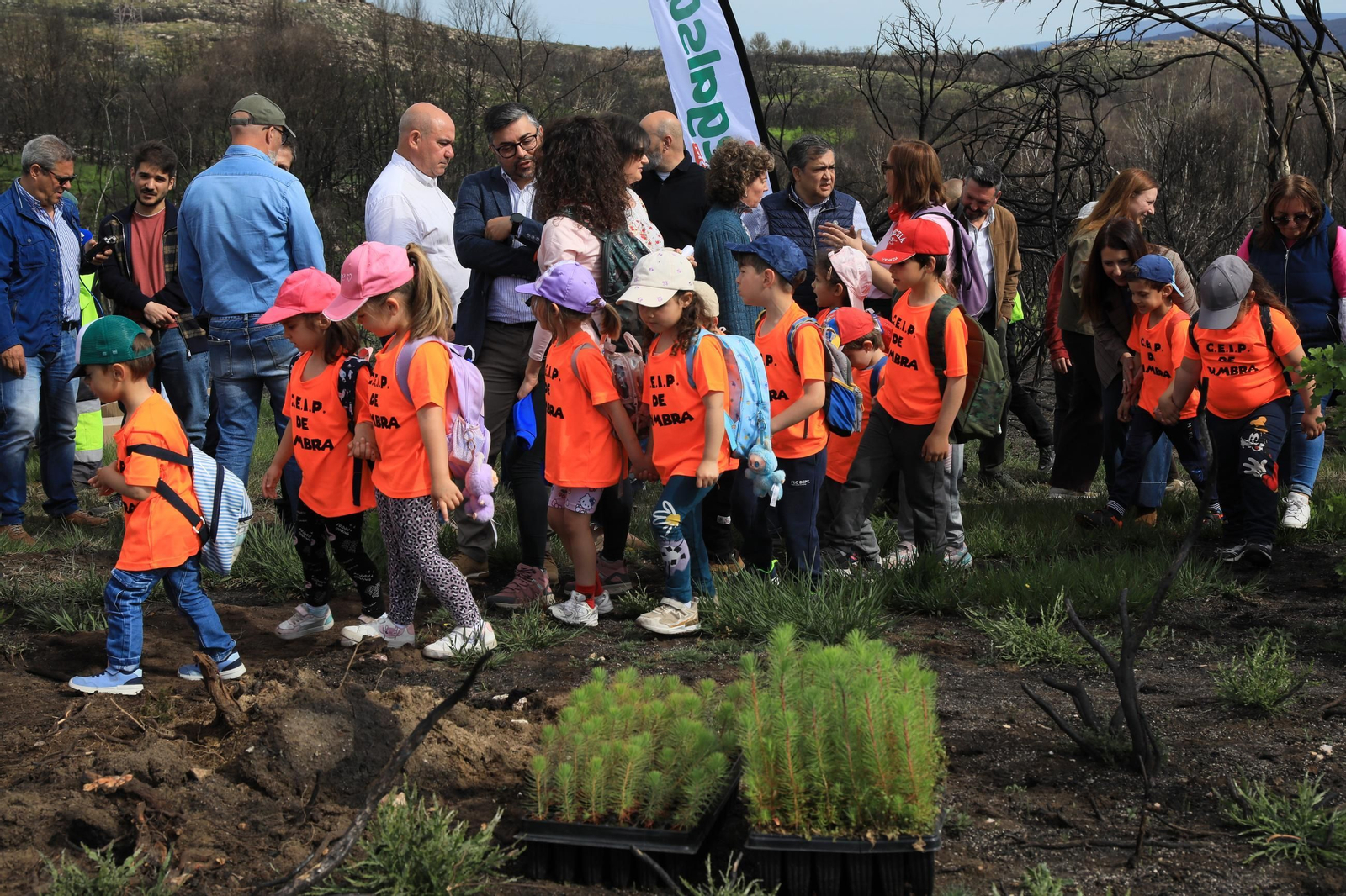 Galería | Numerosos niños reforestan A Caridade tras los incendios del pasado agosto