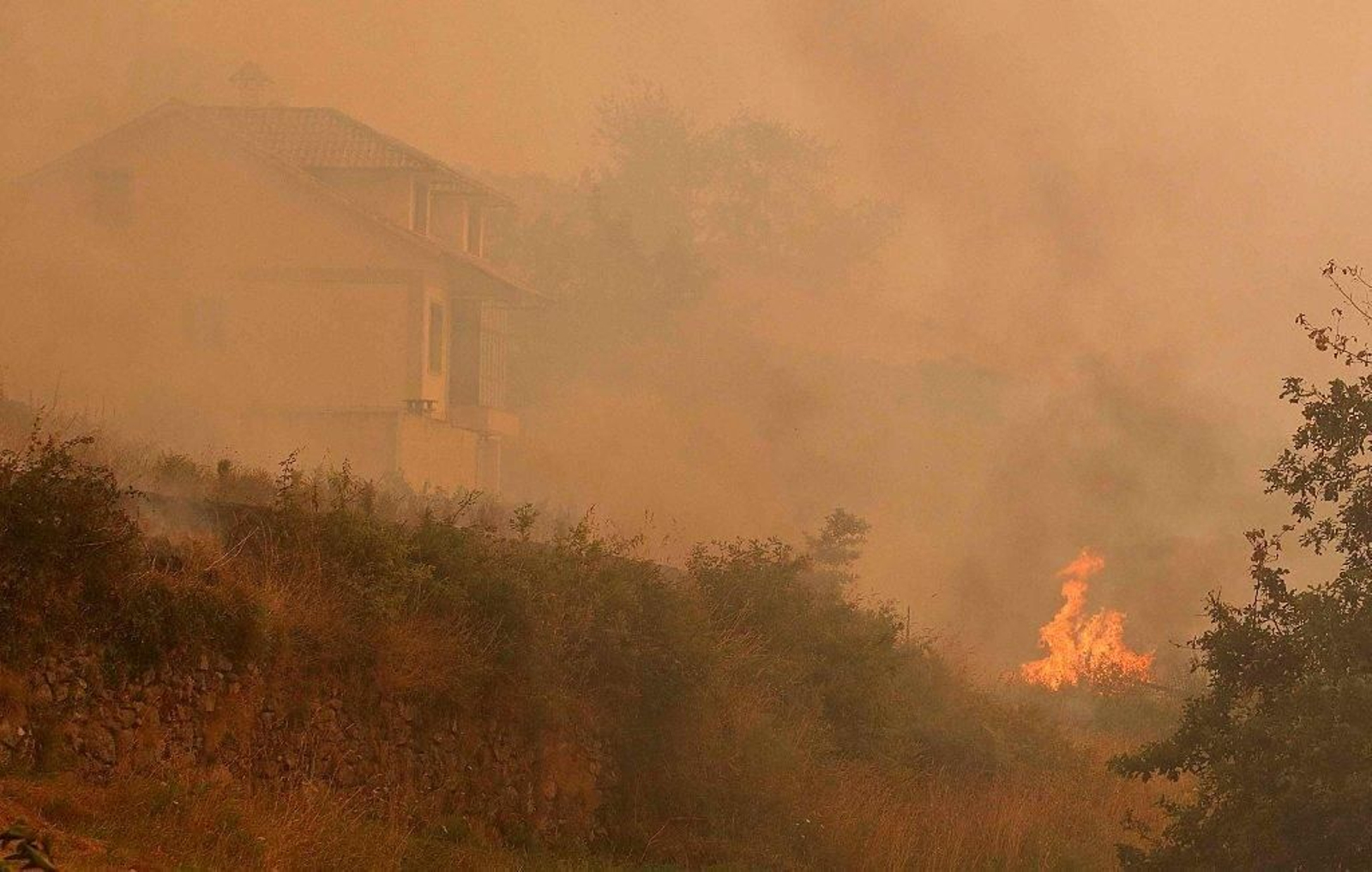 Incendio en Soutomaior Foto JV Landín 15