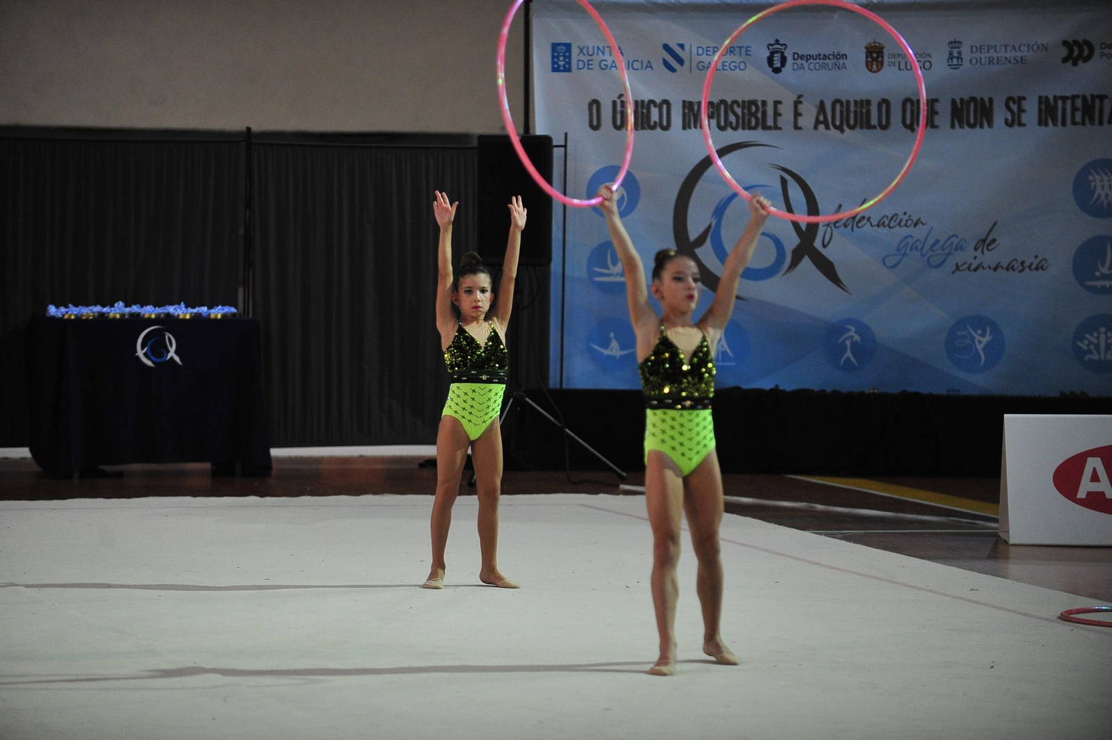 Las artistas del tapiz volvieron a brillar en el Campeonato Base de Gimnasia