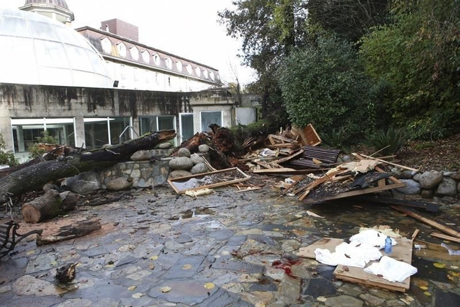 Heridas tres personas, entre ellas un menor, por la caída de un árbol en Mondariz (Pontevedra)
