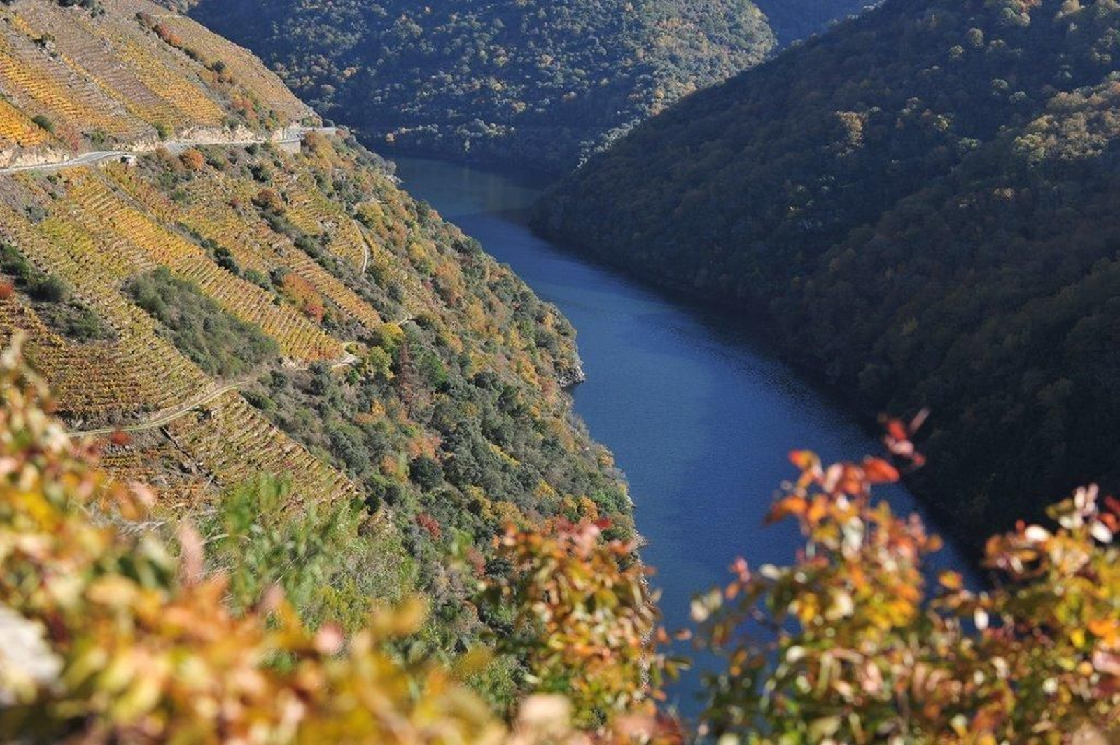 Ribeira Sacra 4
