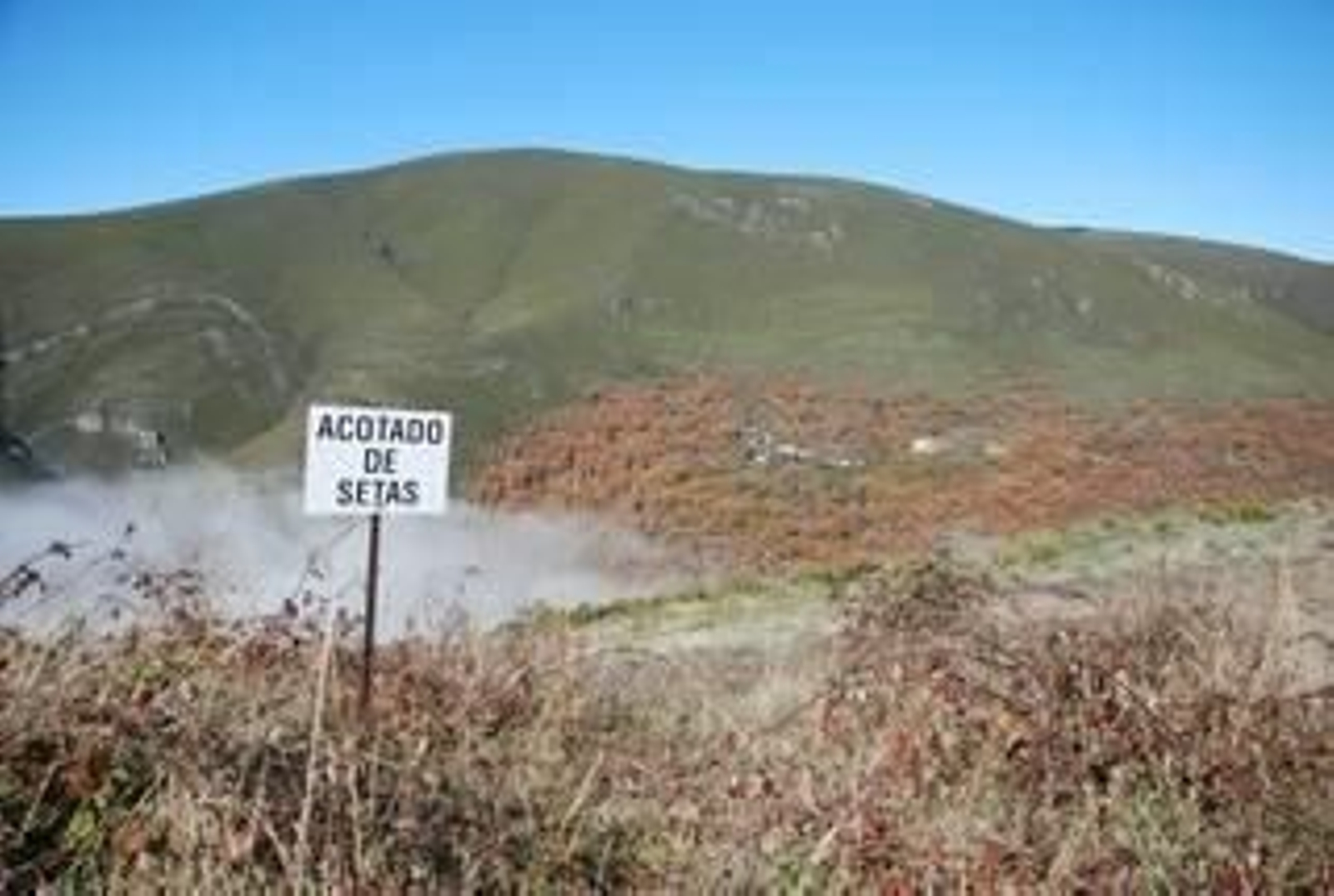 En algunas fincas particulares de A Veiga pueden verse letreros de coto de setas