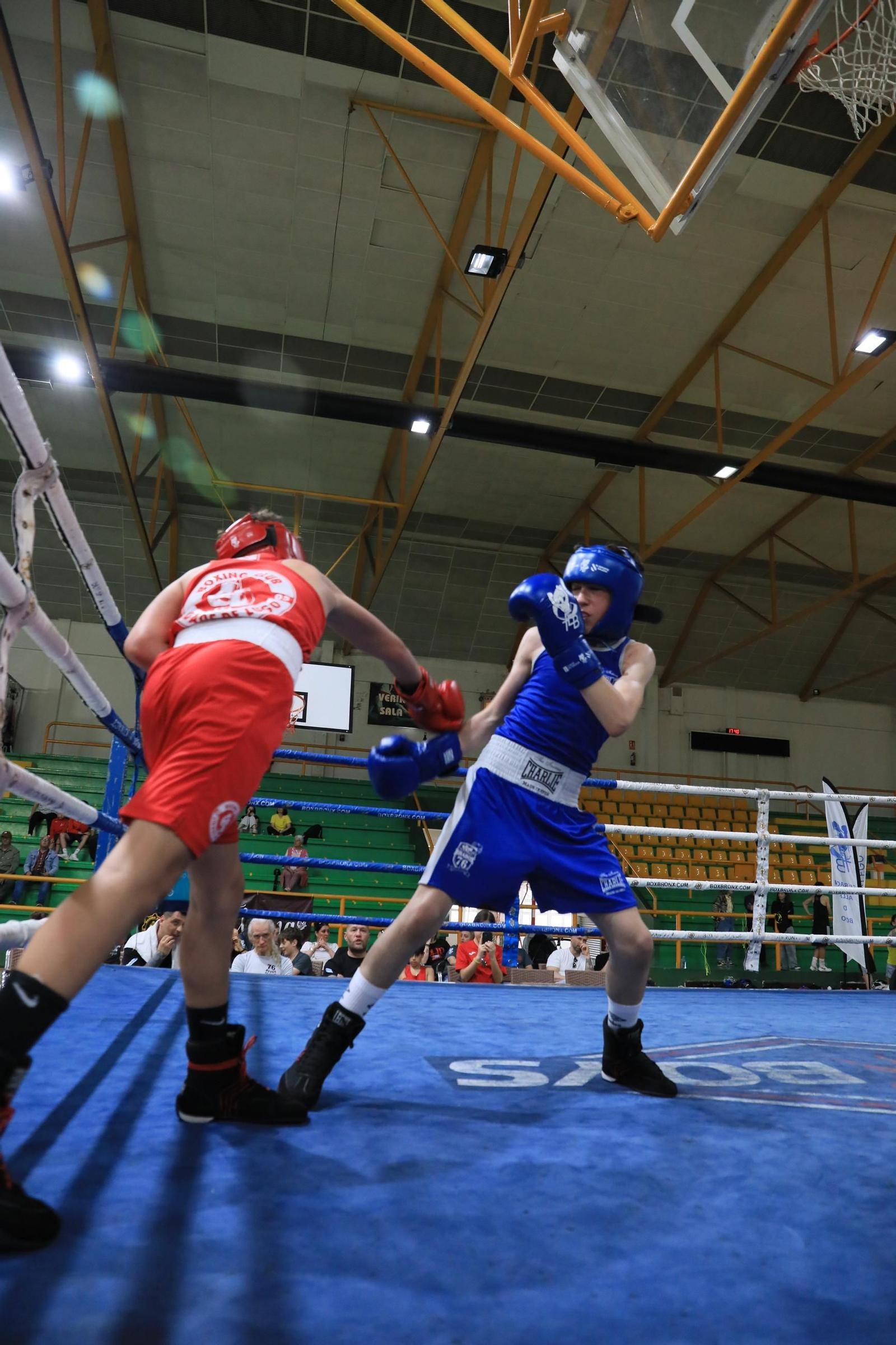 Galería | Verín disfruta de su primer Open de Boxeo
