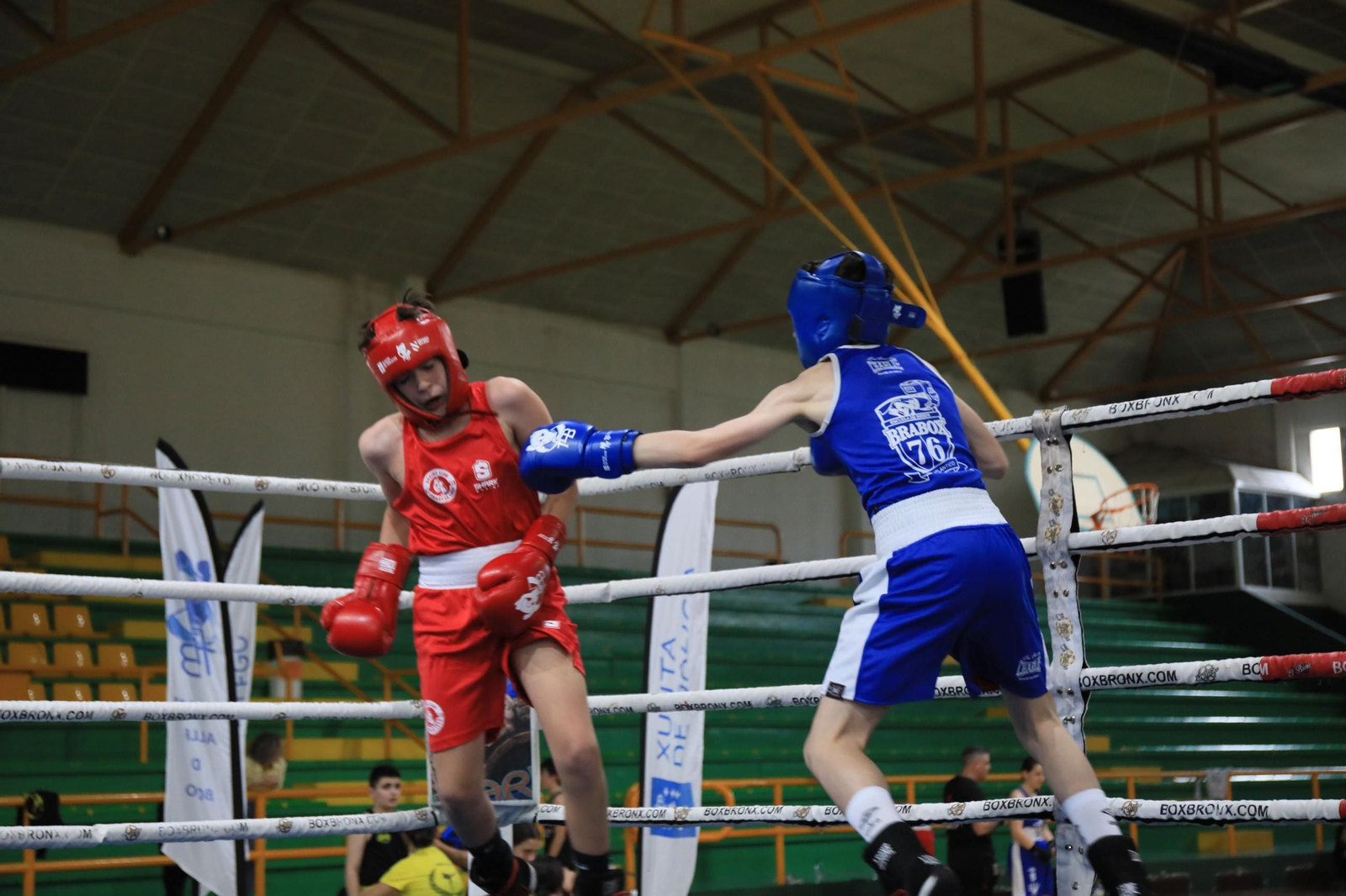 Galería | Verín disfruta de su primer Open de Boxeo