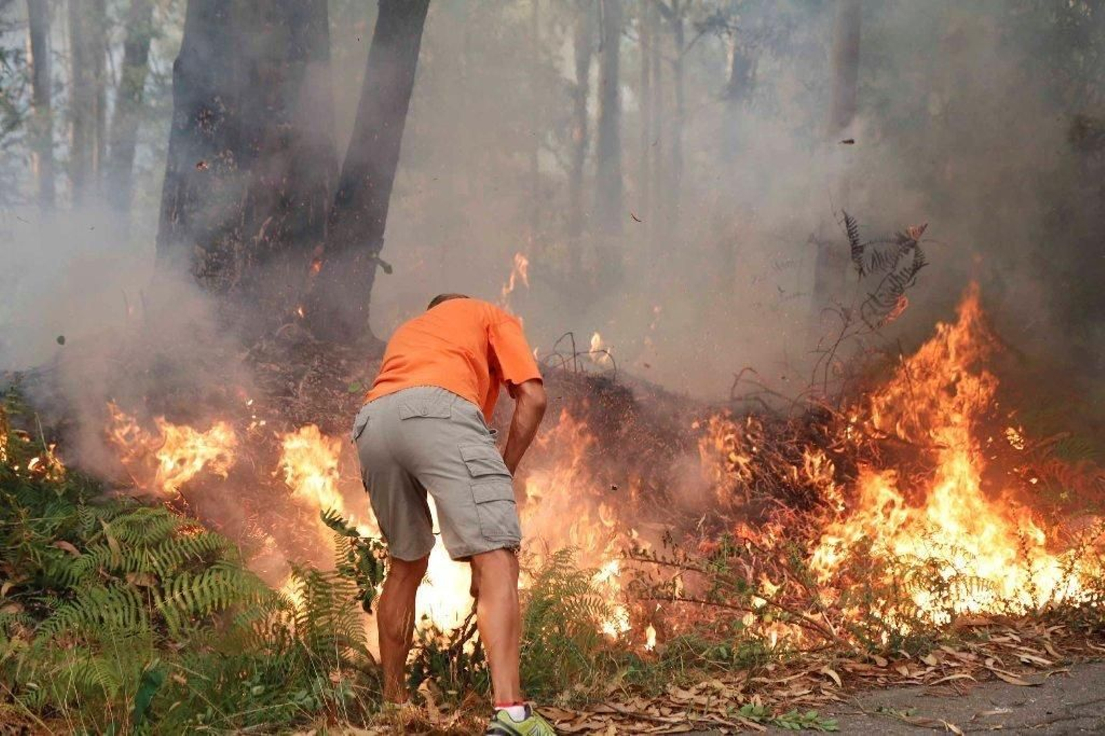 Incendio en Soutomaior Foto JV Landín 19
