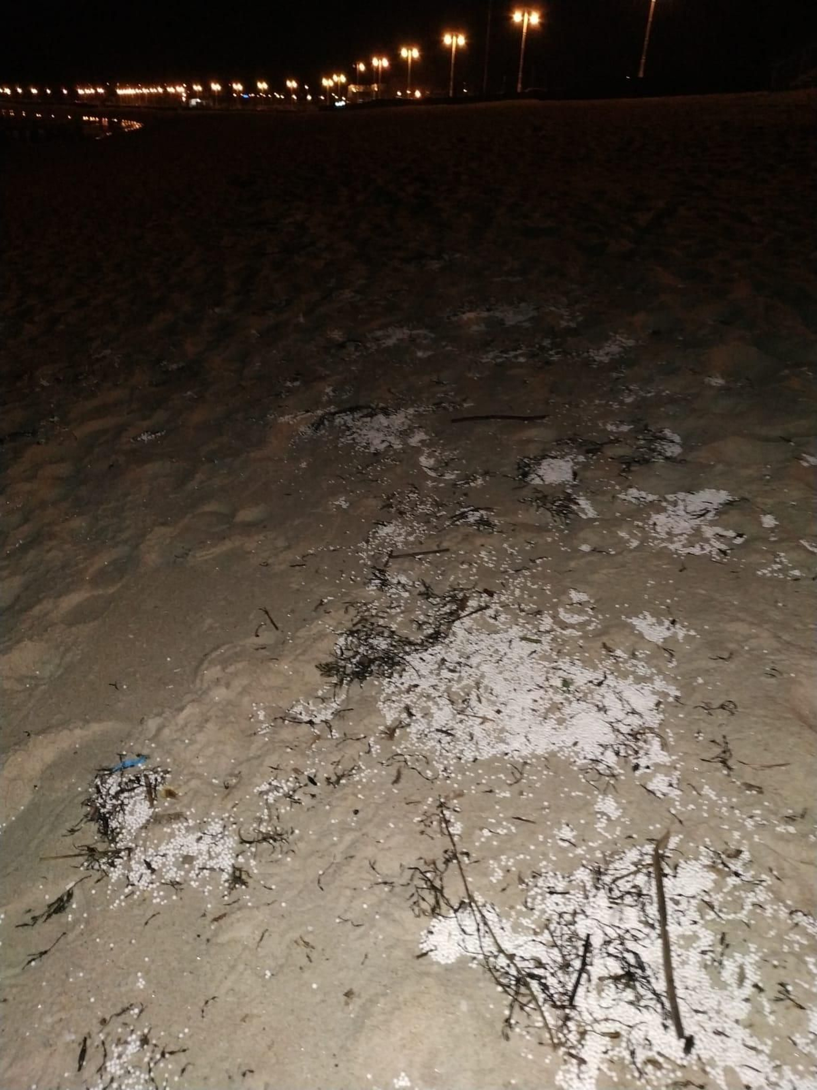 WhatsApp Image 2020-02-21 at 11.56.38