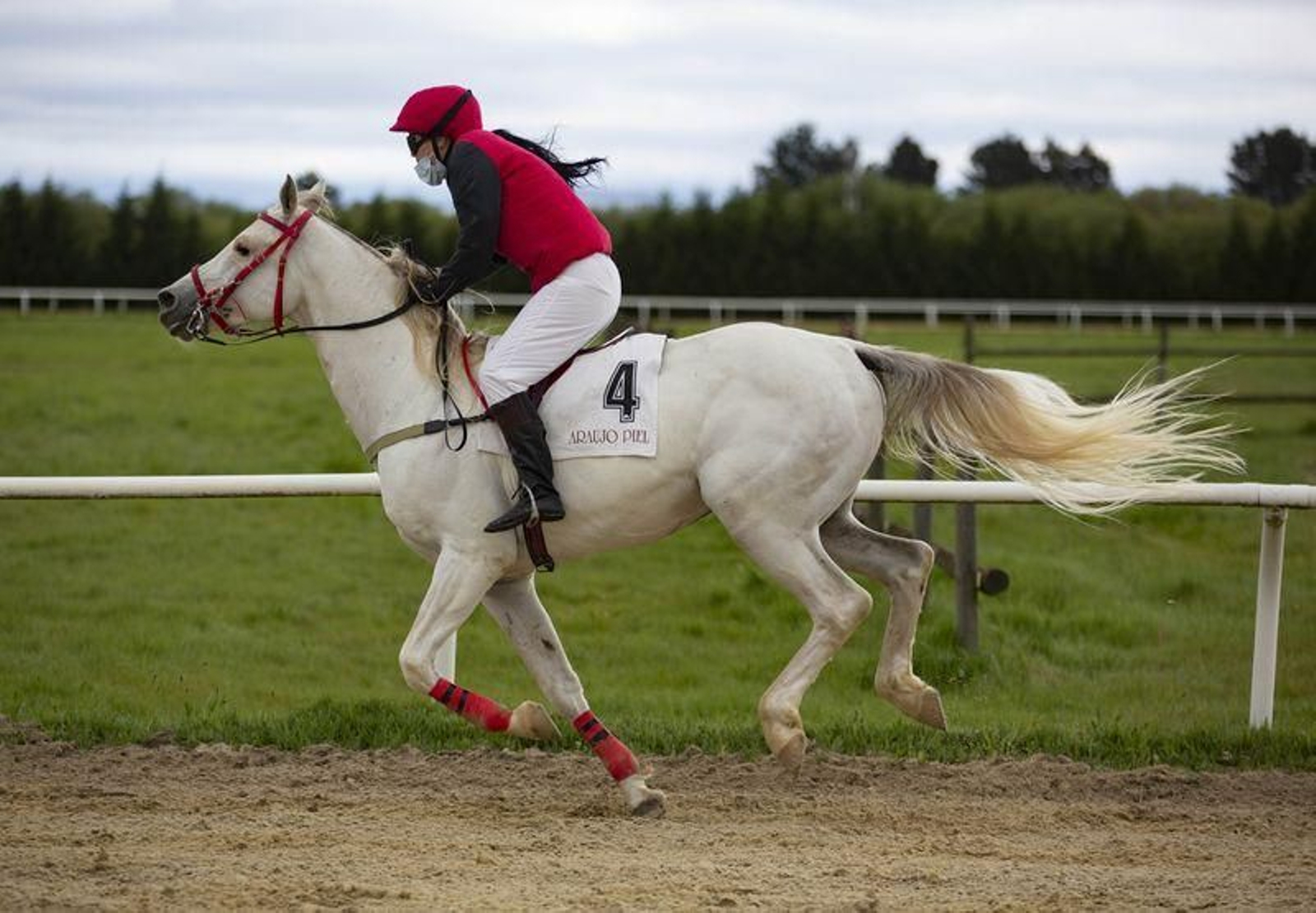 El hipódromo de Antela acogió la Copa Deputación de Hípica en modalidad de velocidad y trote en el hipódromo de Antela (Fotos: Xesús Fariñas)
