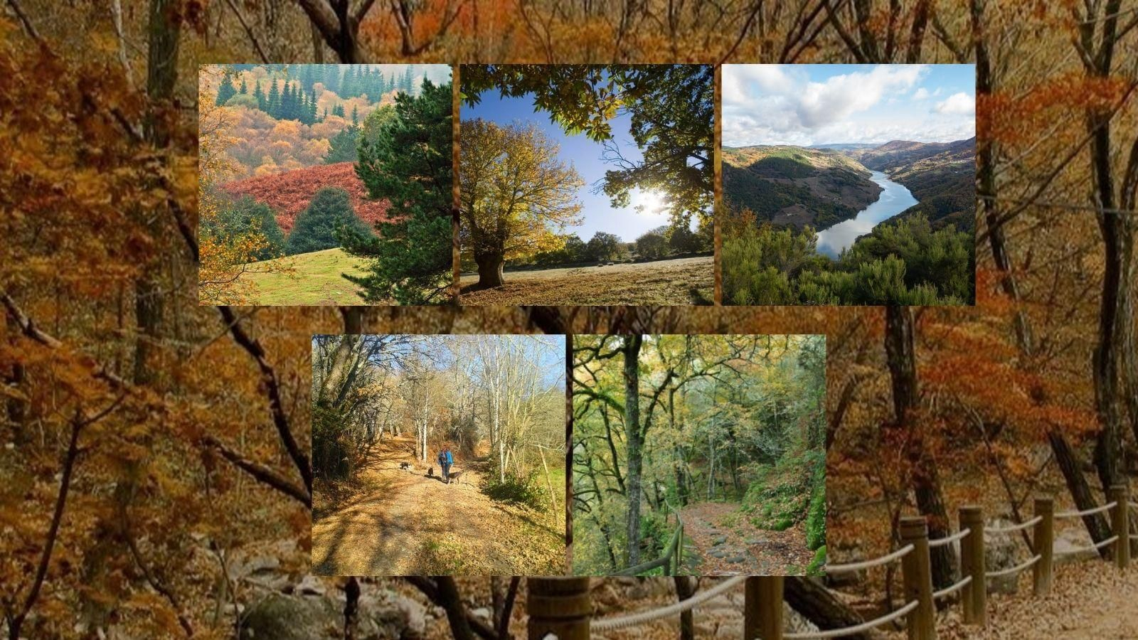 Las cinco rutas teñidas con los colores del otoño en Ourense.