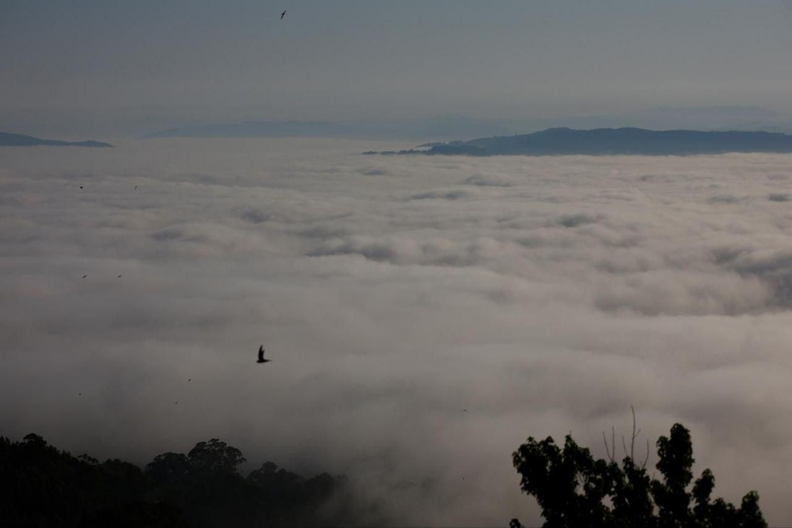 Galería | Un manto de niebla despierta a la Ría de Vigo tras la ola de calor