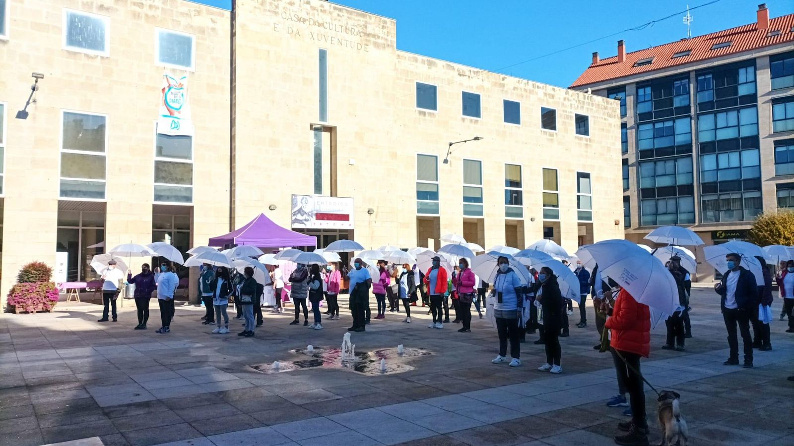 WhatsApp Image 2021-11-13 at 11.25.49