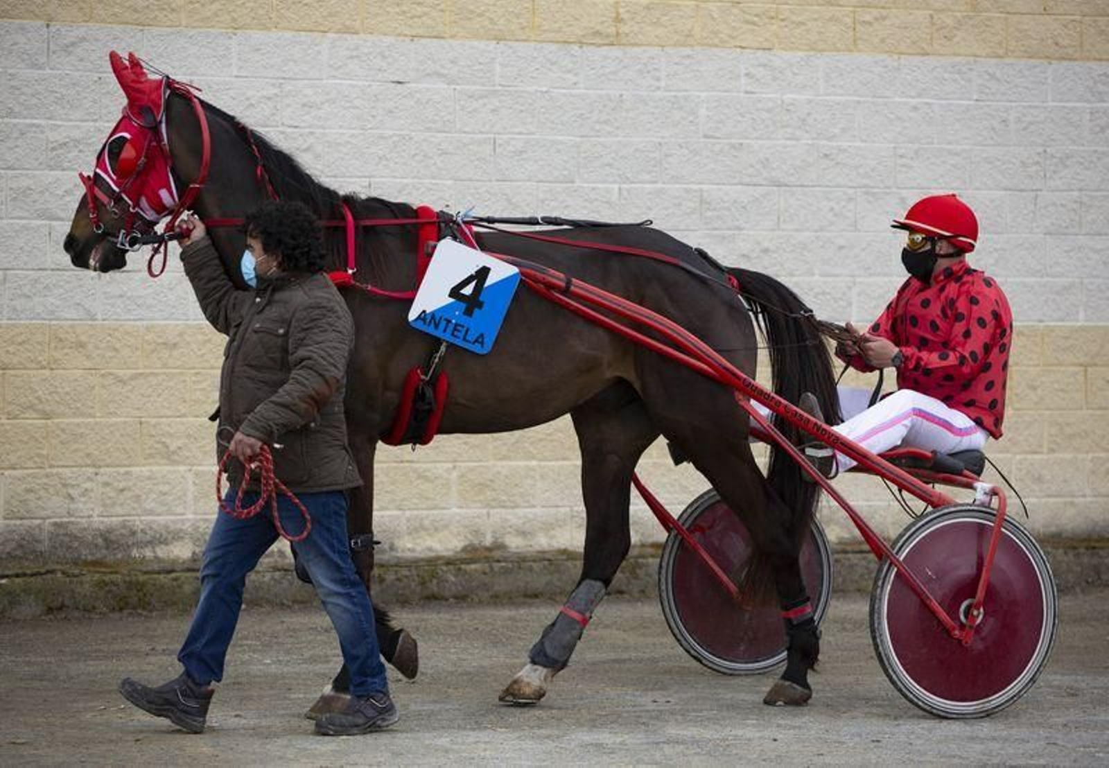 El hipódromo de Antela acogió la Copa Deputación de Hípica en modalidad de velocidad y trote en el hipódromo de Antela (Fotos: Xesús Fariñas)