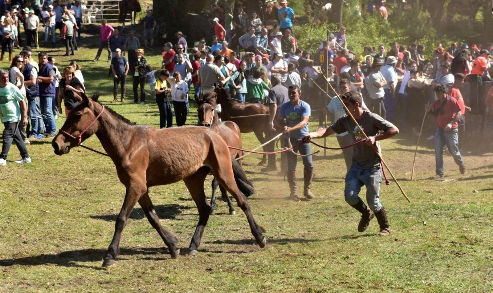 La rapa será a las 17:00 horas con todos los caballos ya en el recinto.