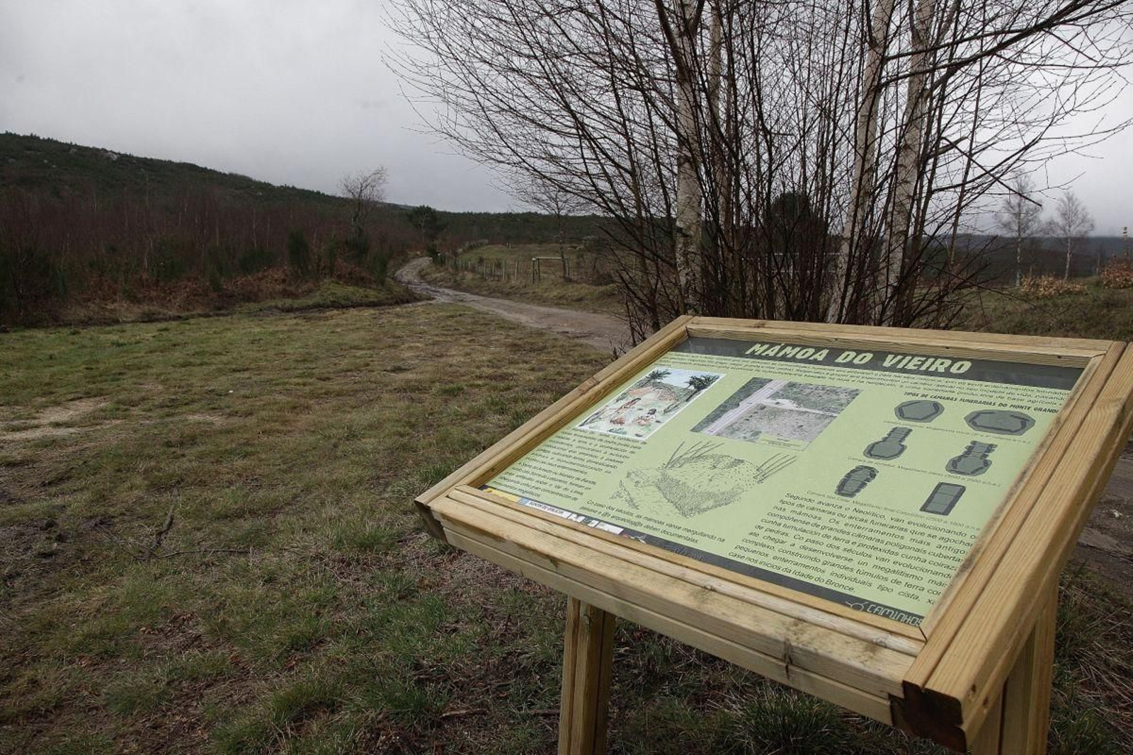 El Monte Grande atesora una gran riqueza natural y cultural, en imagen la mámoa do Vieiro.
