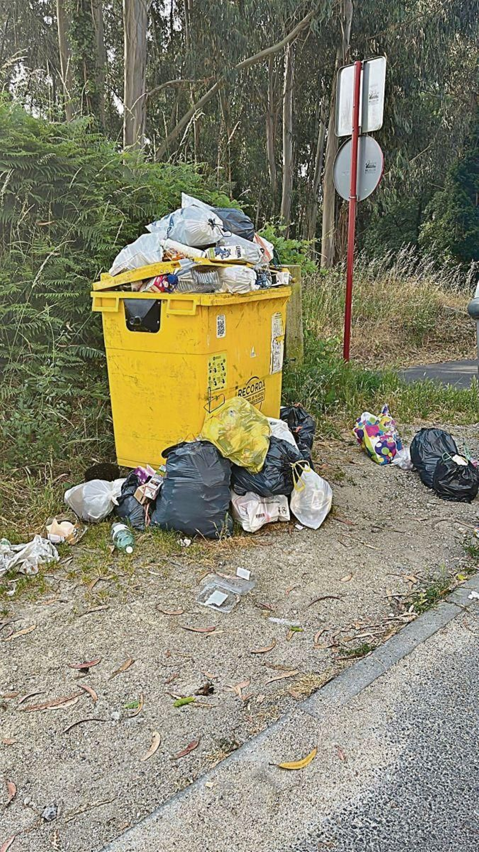 Basura tirada.