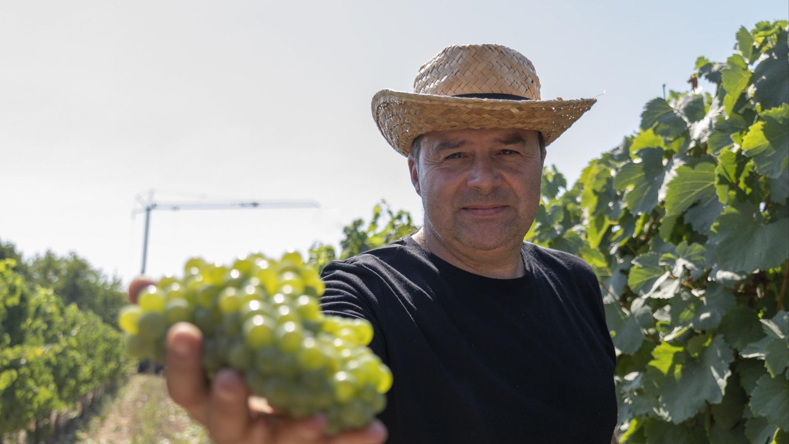 José Manuel Fernández muestra un racimo de godello recién vendimiado.