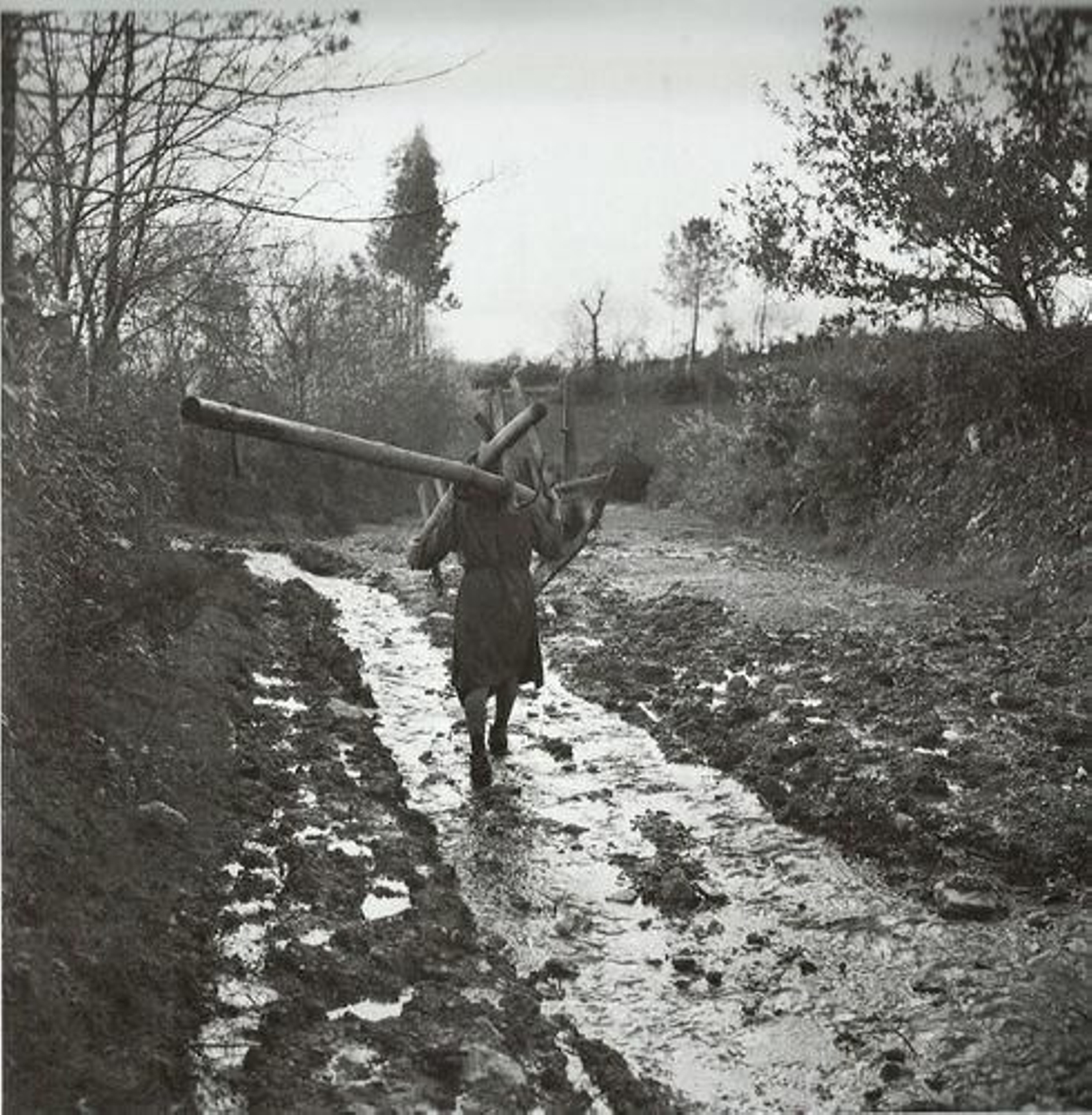 Labradora con arado y yugo a cuestas, en Ardemil__result