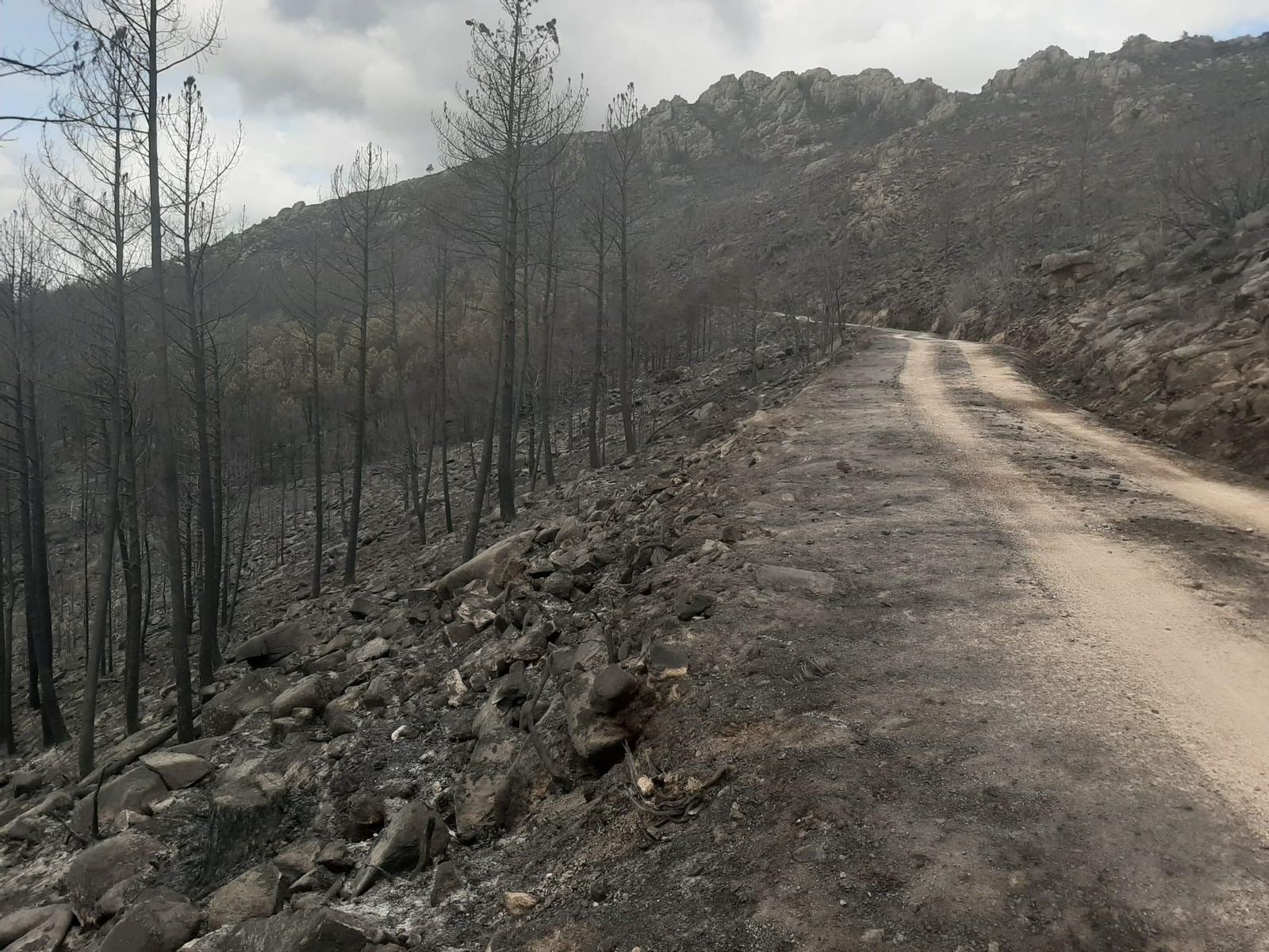 Incendio en Río Caldo, Lobios.