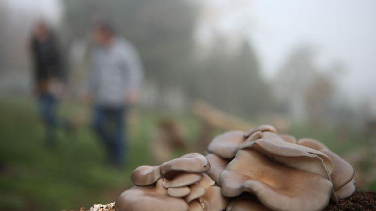 deportes15-archive-2016-10-21-img_0828_resultado