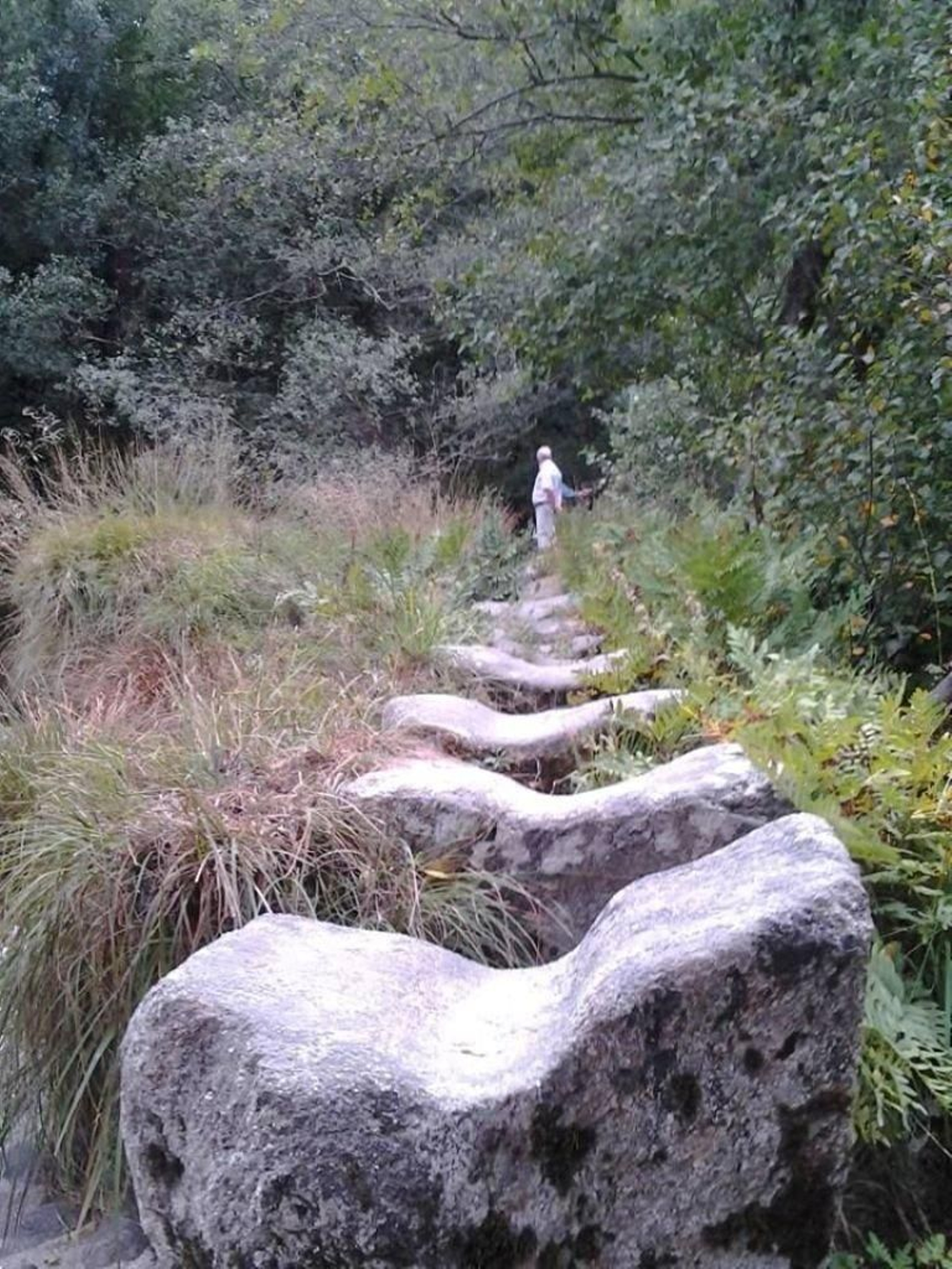 Poldras de As Pereiras en A Costa, Castelans (Covelo).
