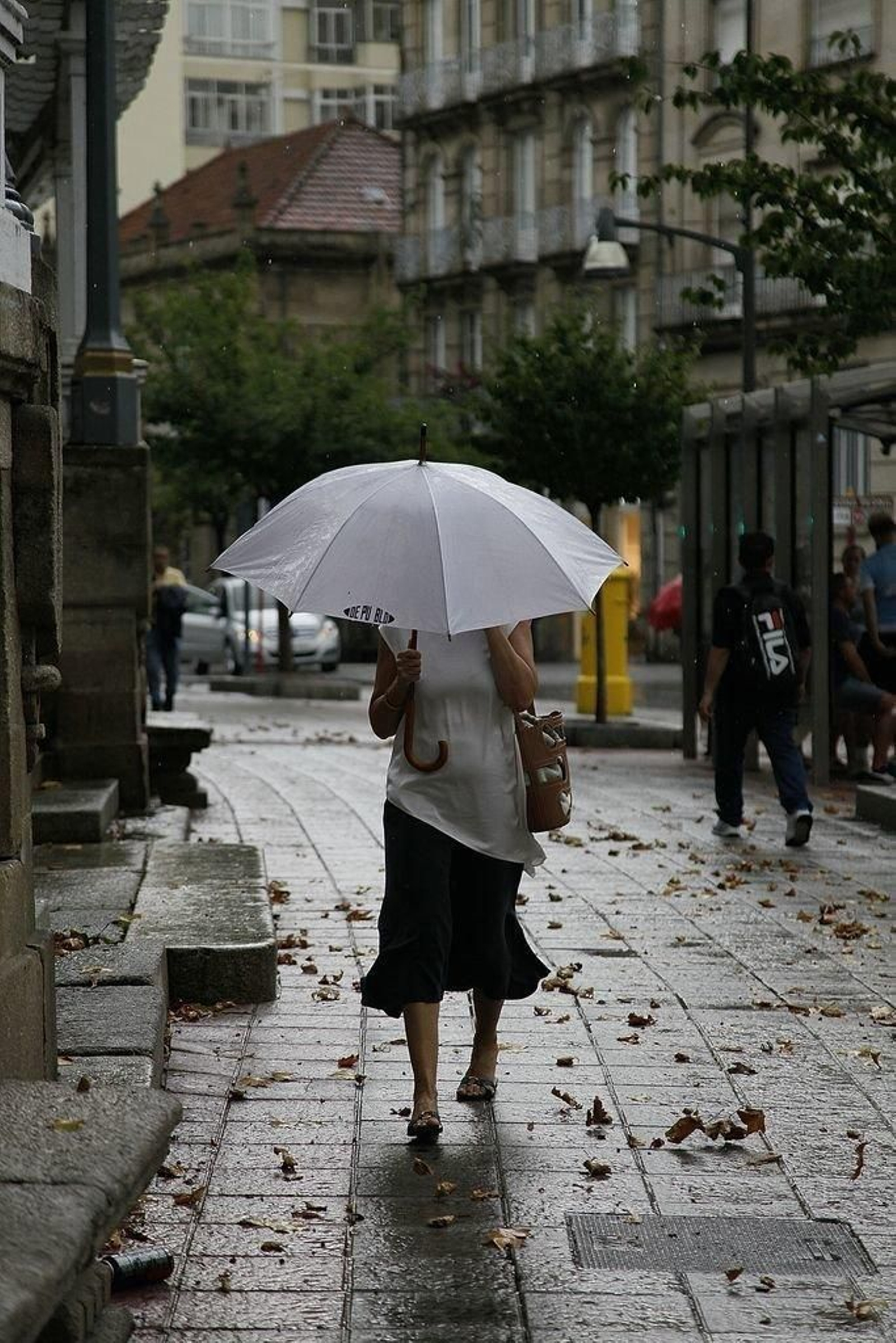 Paraguas para cubrirse de la lluvia en el Paseo