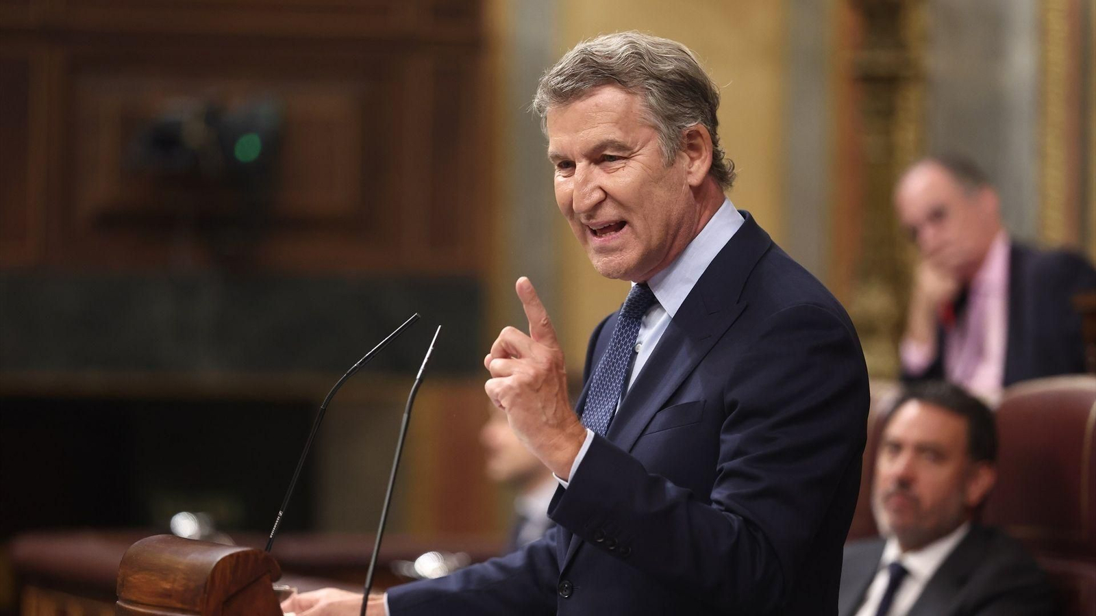 El presidente del Partido Popular, Alberto Núñez Feijóo, interviene durante una sesión plenaria en el Congreso.