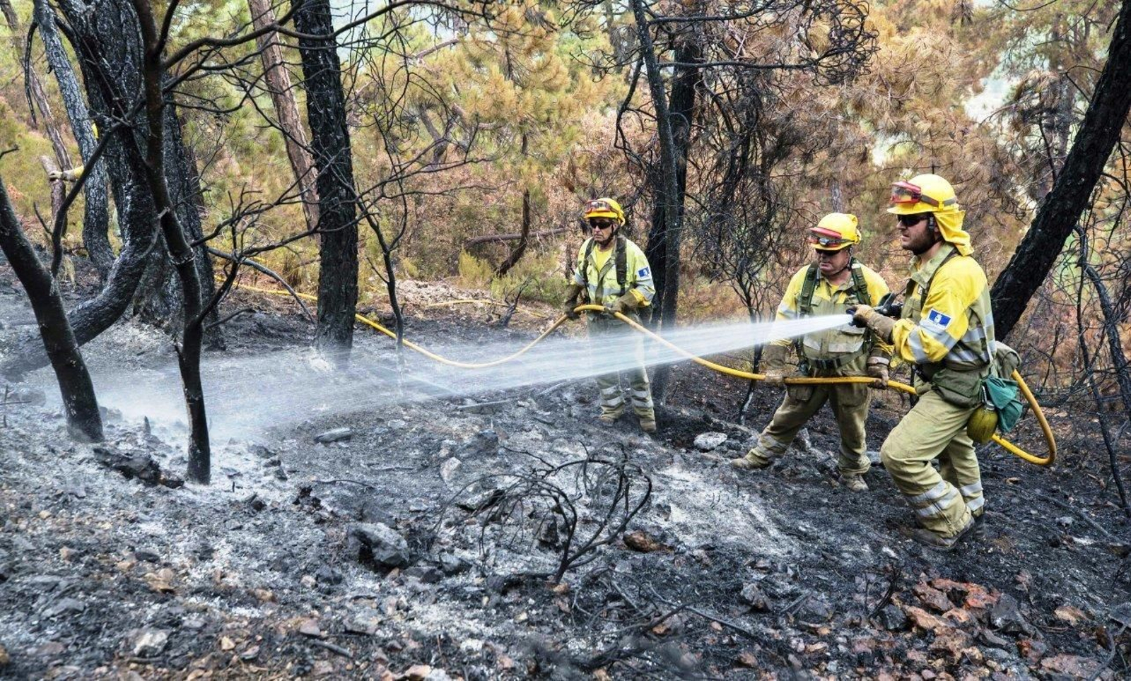 Los servicios de extinción sofocan el incendio que tuvo lugar en Yeste (Albacete).