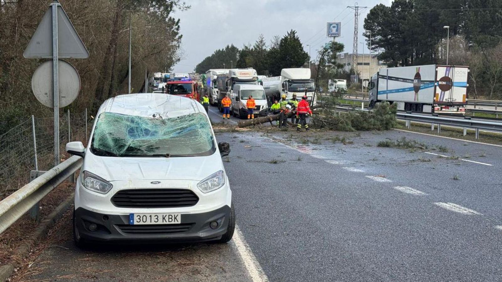 Furgoneta dañada ayer por la caída de un árbol en Porriño.