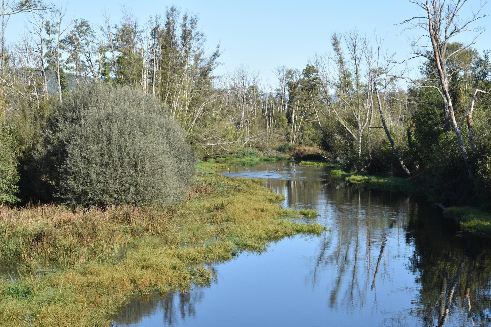 O río Támega, cruzando a raia da Eurocidade Verín-Chaves