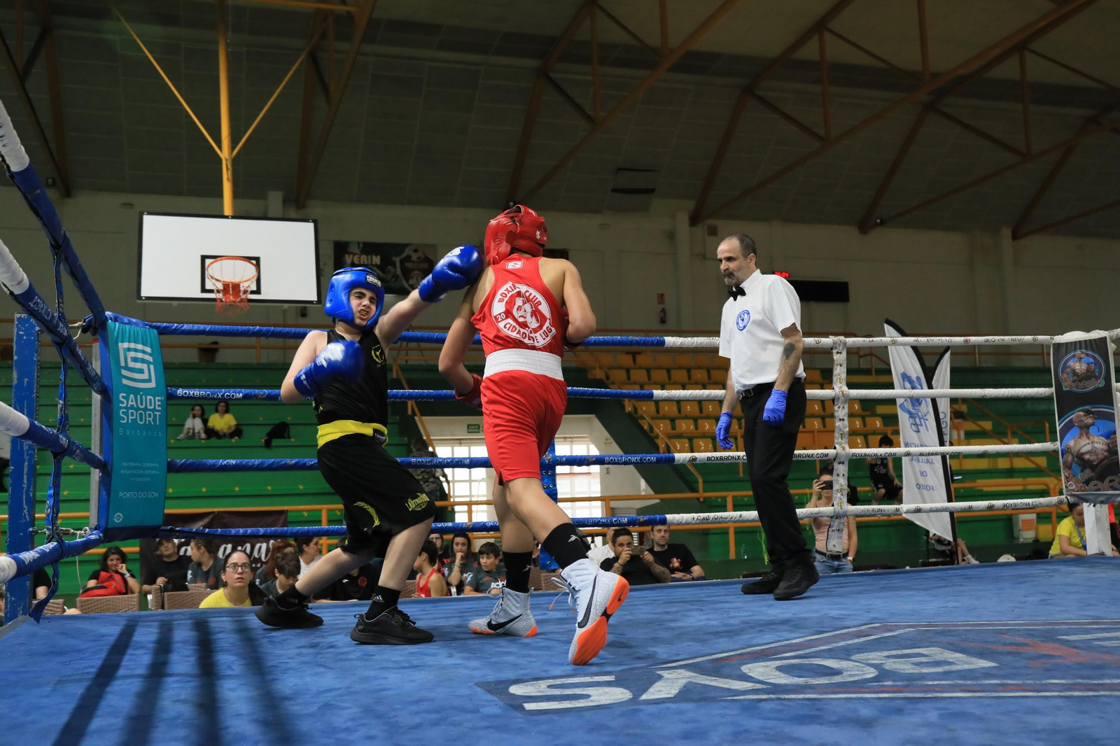 Galería | Verín disfruta de su primer Open de Boxeo