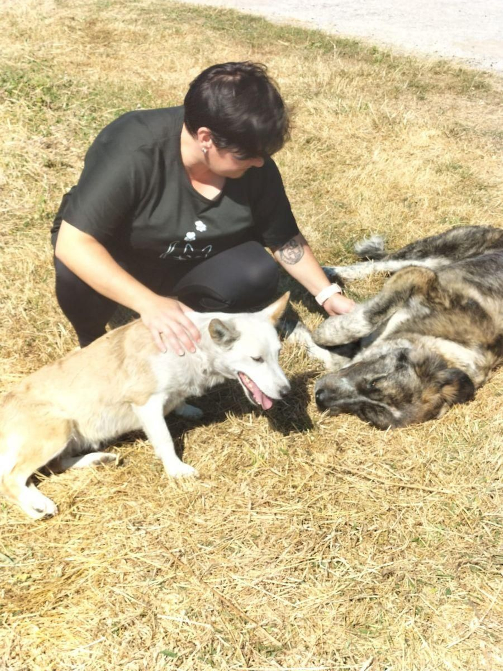 Incorporó a cuatro perros.