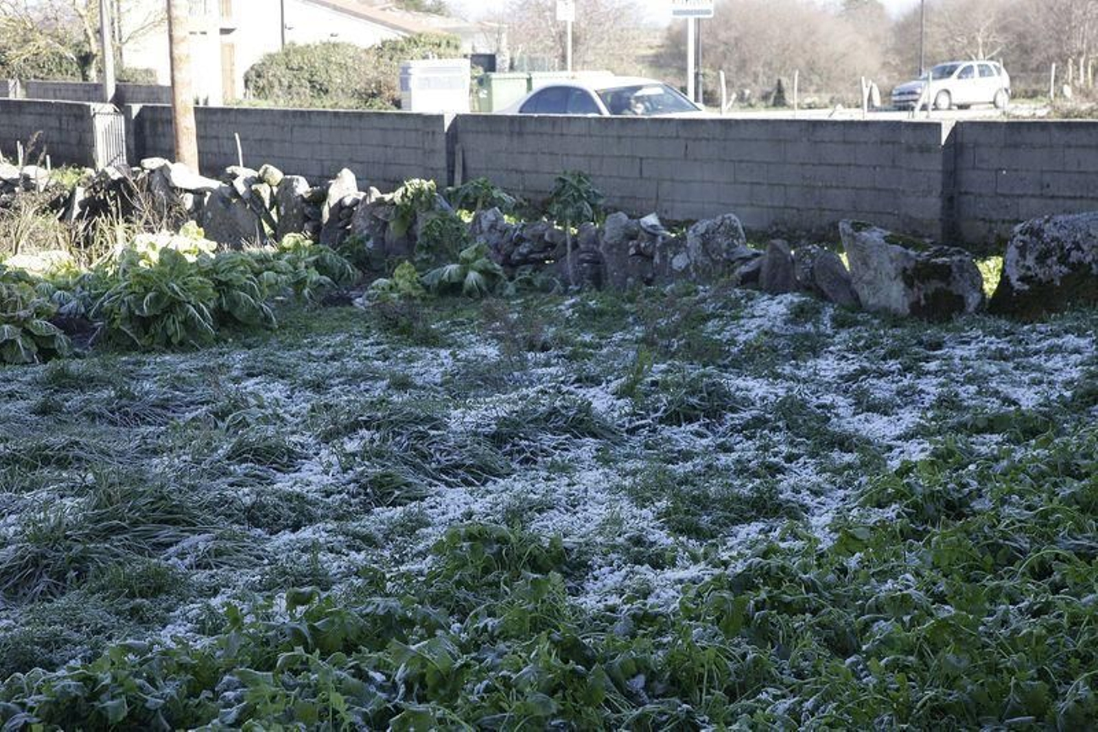 Jornada de frío en Ourense // FOTO: MIGUEL ÁNGEL