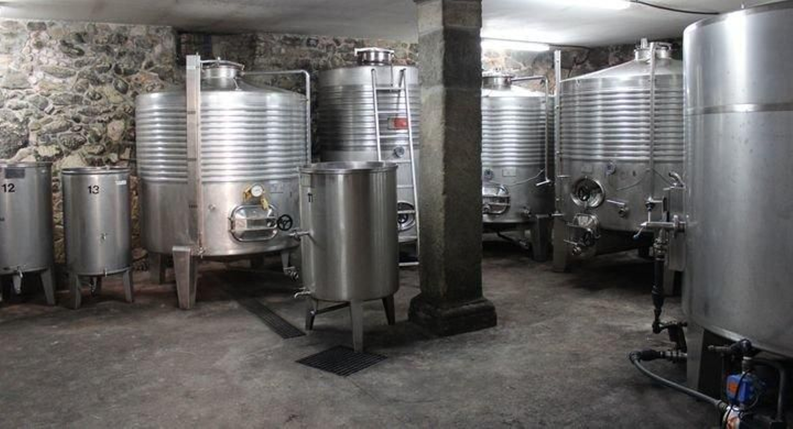 Bodega Losada Fernandez