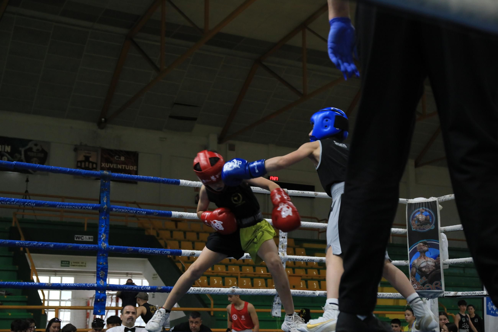 Galería | Verín disfruta de su primer Open de Boxeo