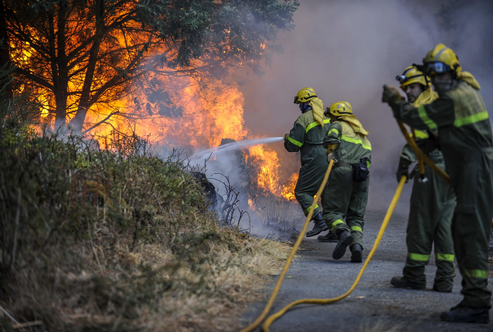 Unos brigadistas, ante un incendio.