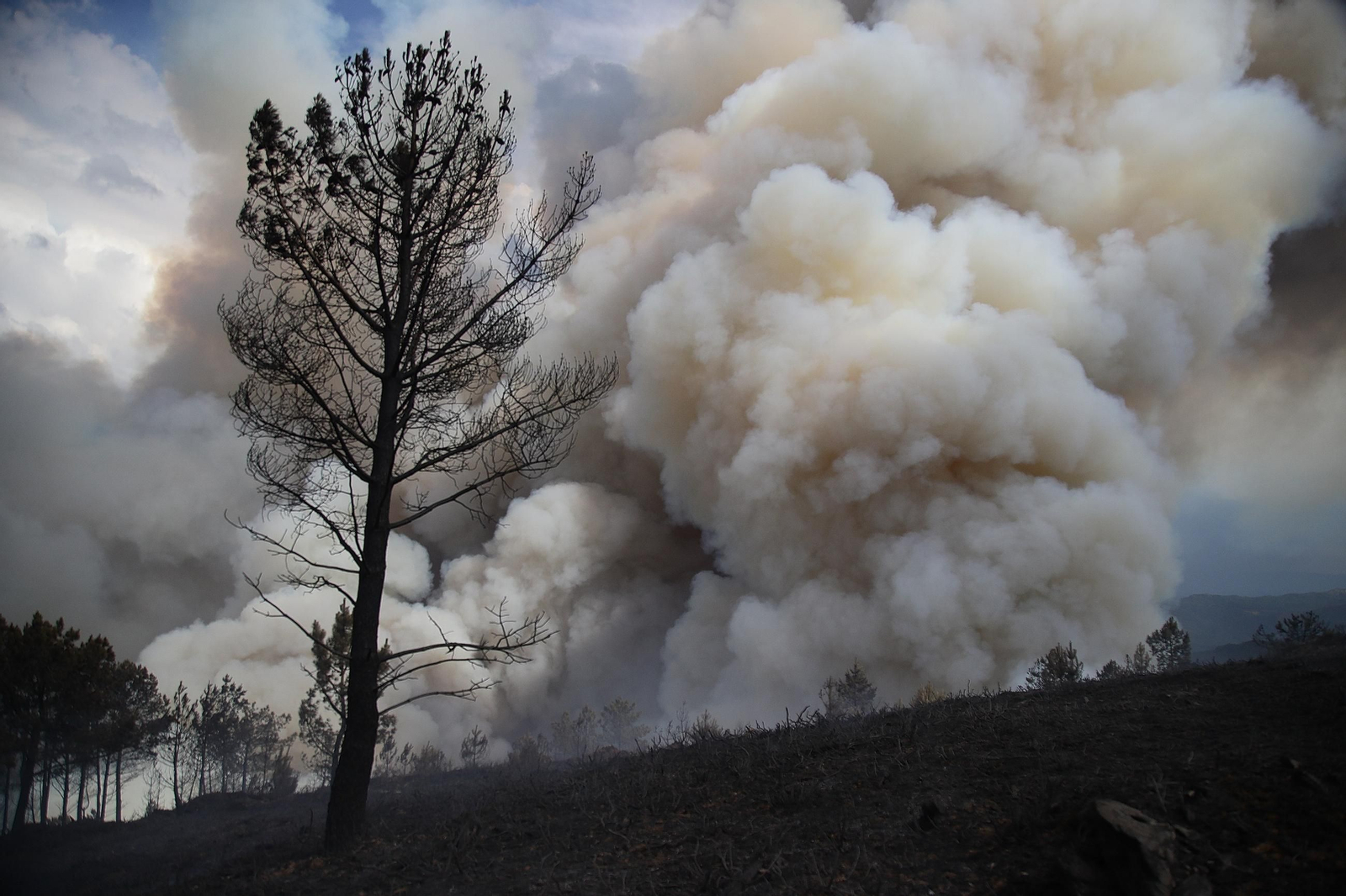 Galería | El primer gran incendio de la provincia en 2026 cerca Boborás