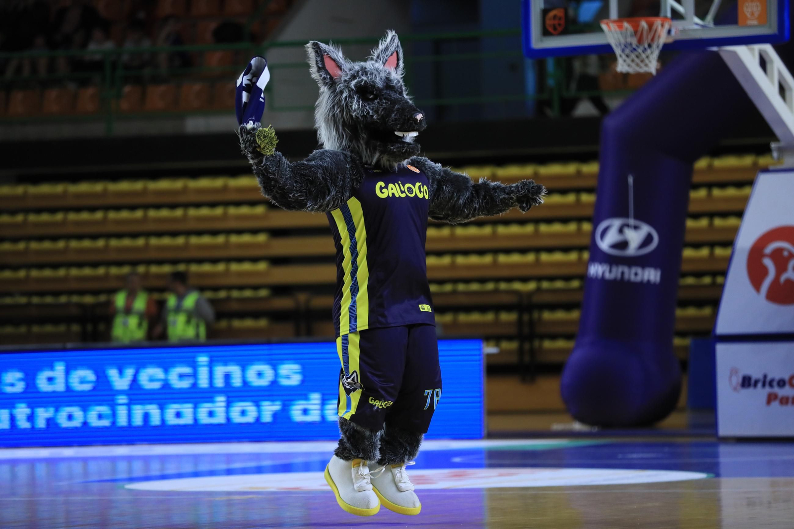 Galería | Así se vivió en el Pazo la victoria del COB