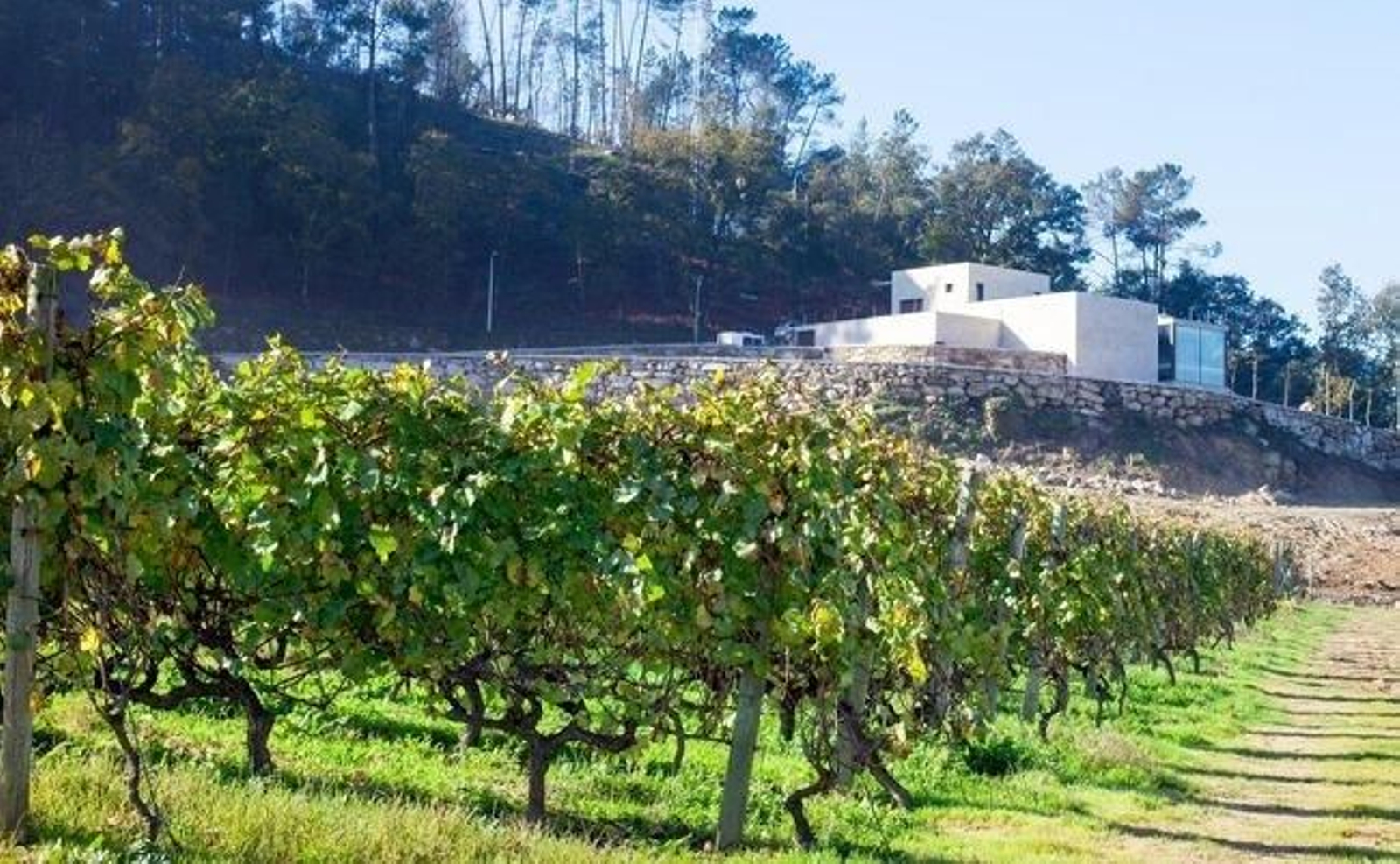 Bodega Ramón do Casar
