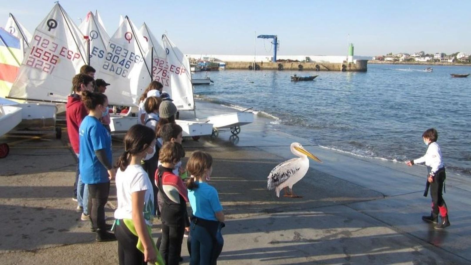 Screenshot_20211229-041432_Instagram