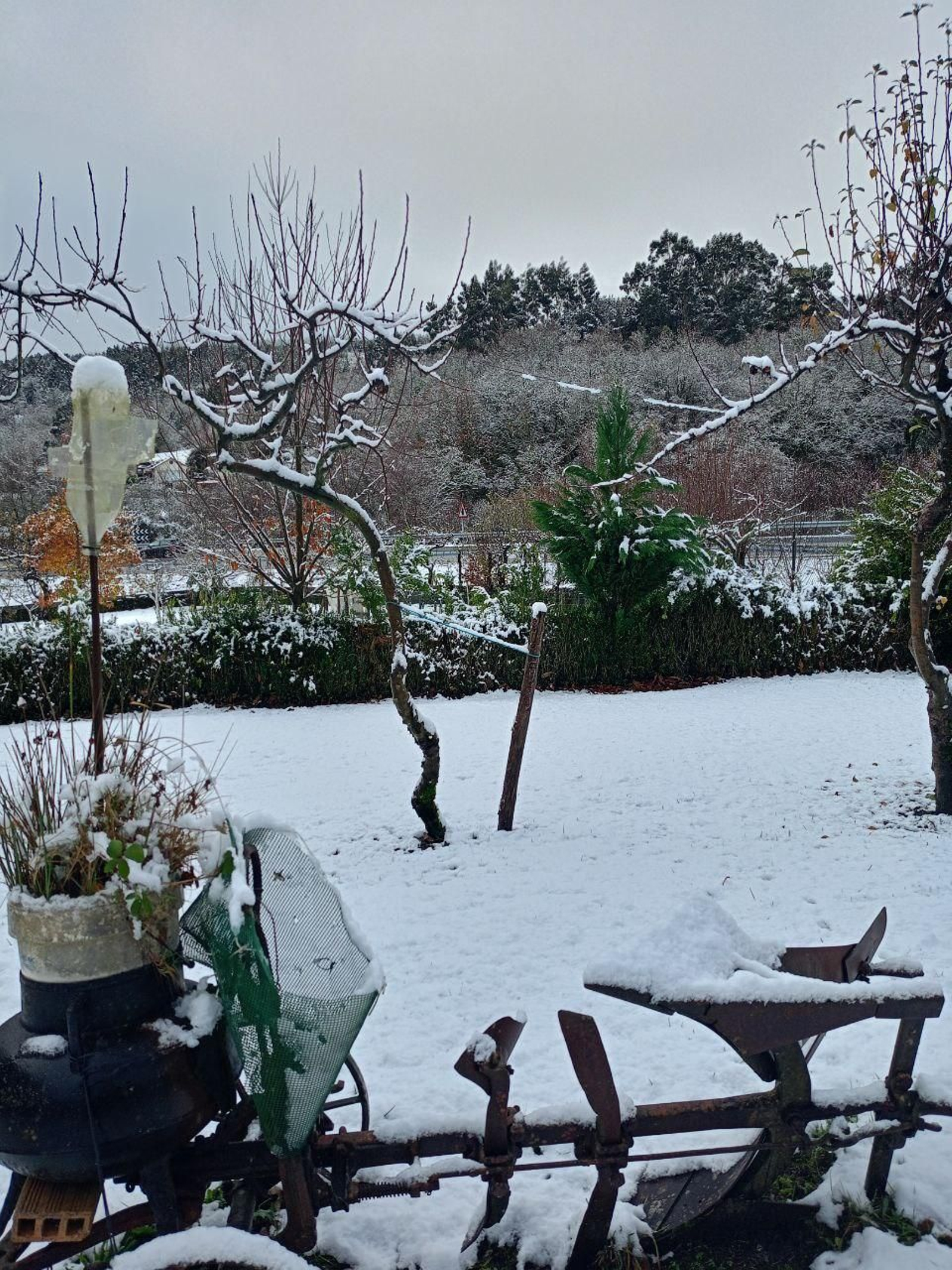 Galería | La nieve da la bienvenida al invierno en A Cañiza