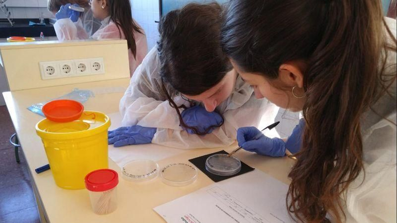 Los estudiantes tienen la oportunidad de ponerse en la piel de los investigadores.