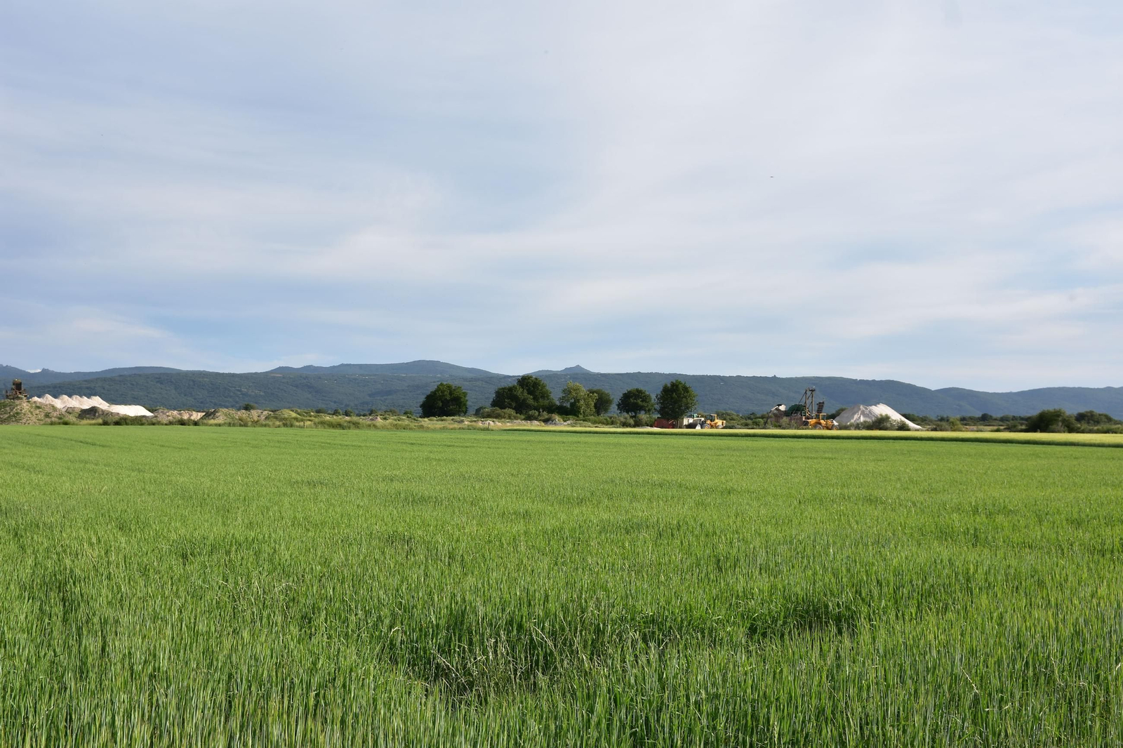 Campos e areeiras