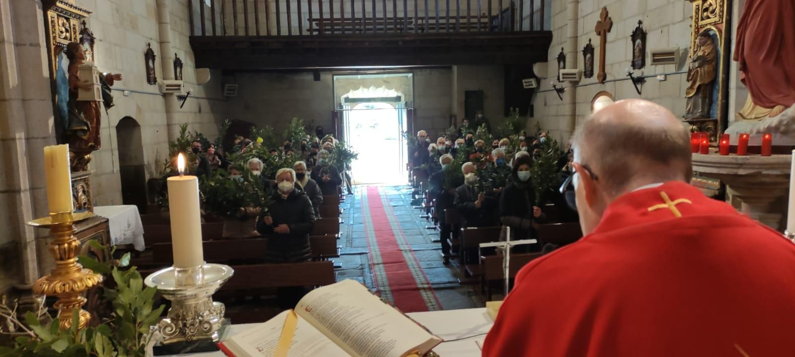 Celebración del Domingo de Ramos