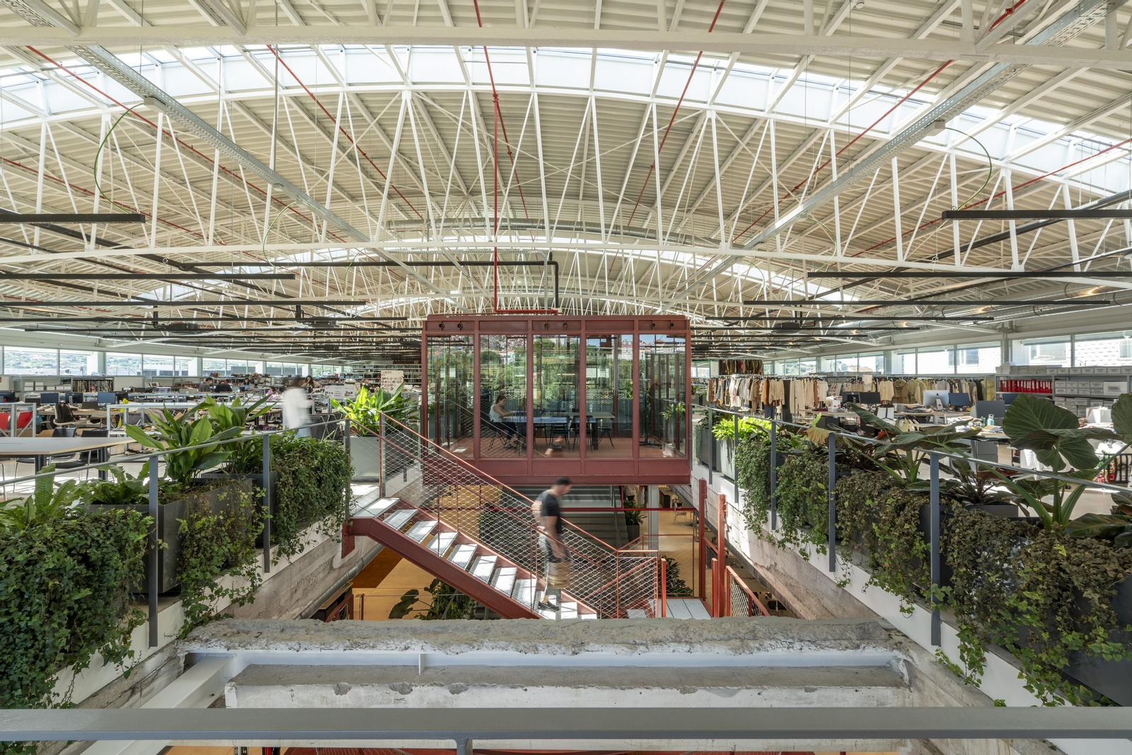 Vista panorámica de la planta superior donde está ubicado el área de diseño con una estructura central abierta para reuniones. Los espacios son amplios y  abiertos y hay decoración vegetal.