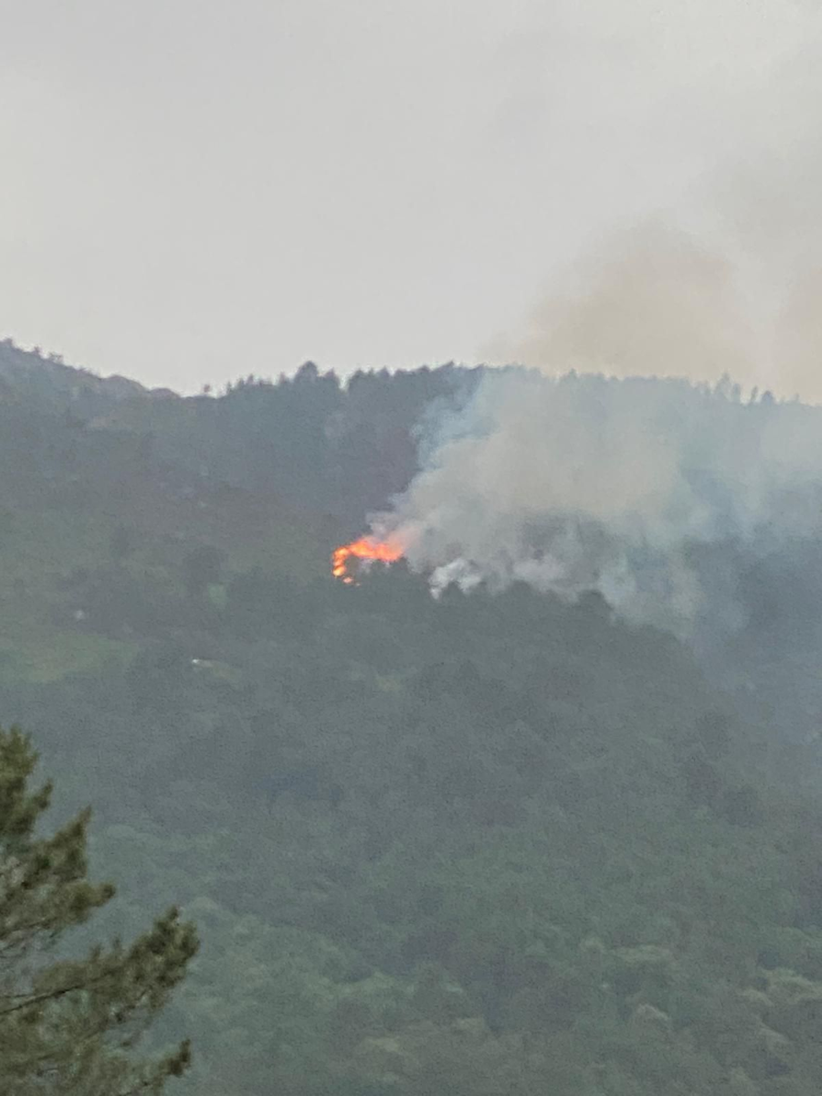 Incendio en Riocaldo (Xurés)