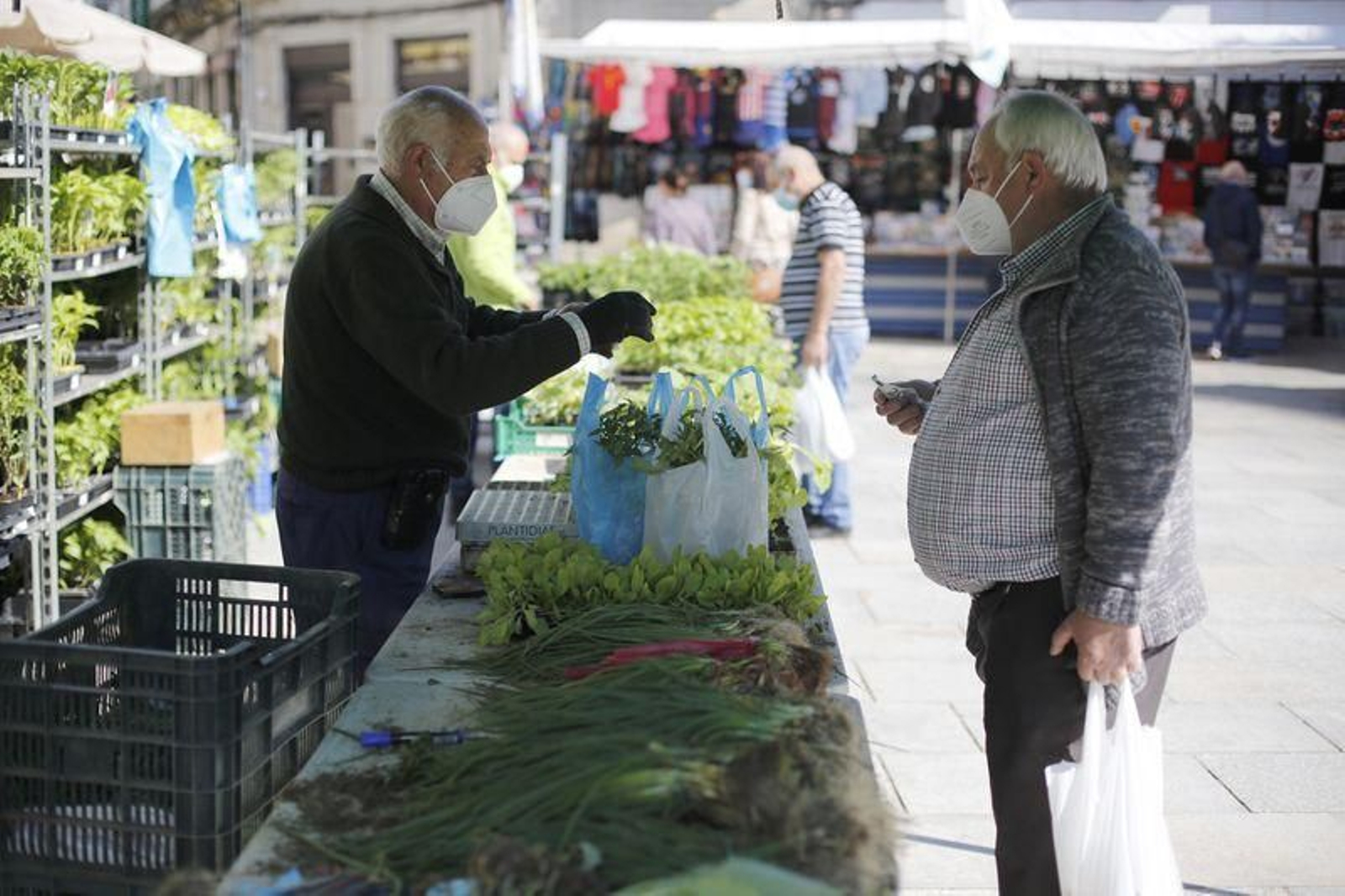 La feria en Celanova (XESÚS FARIÑAS).