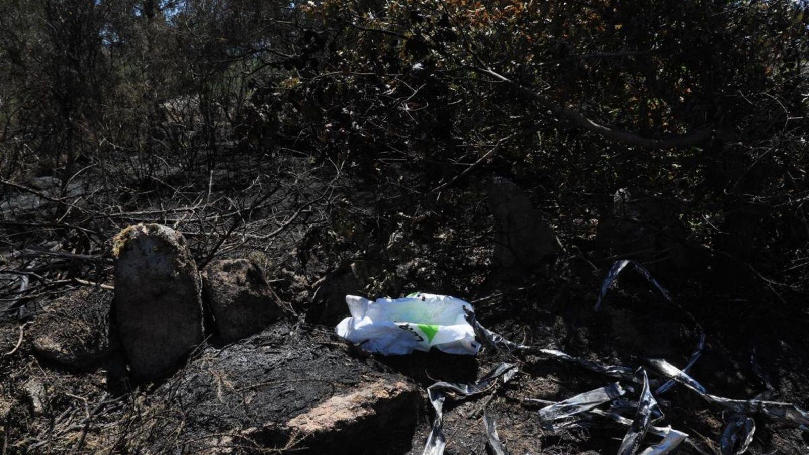 Estado en el que quedó el monte tras la quema.