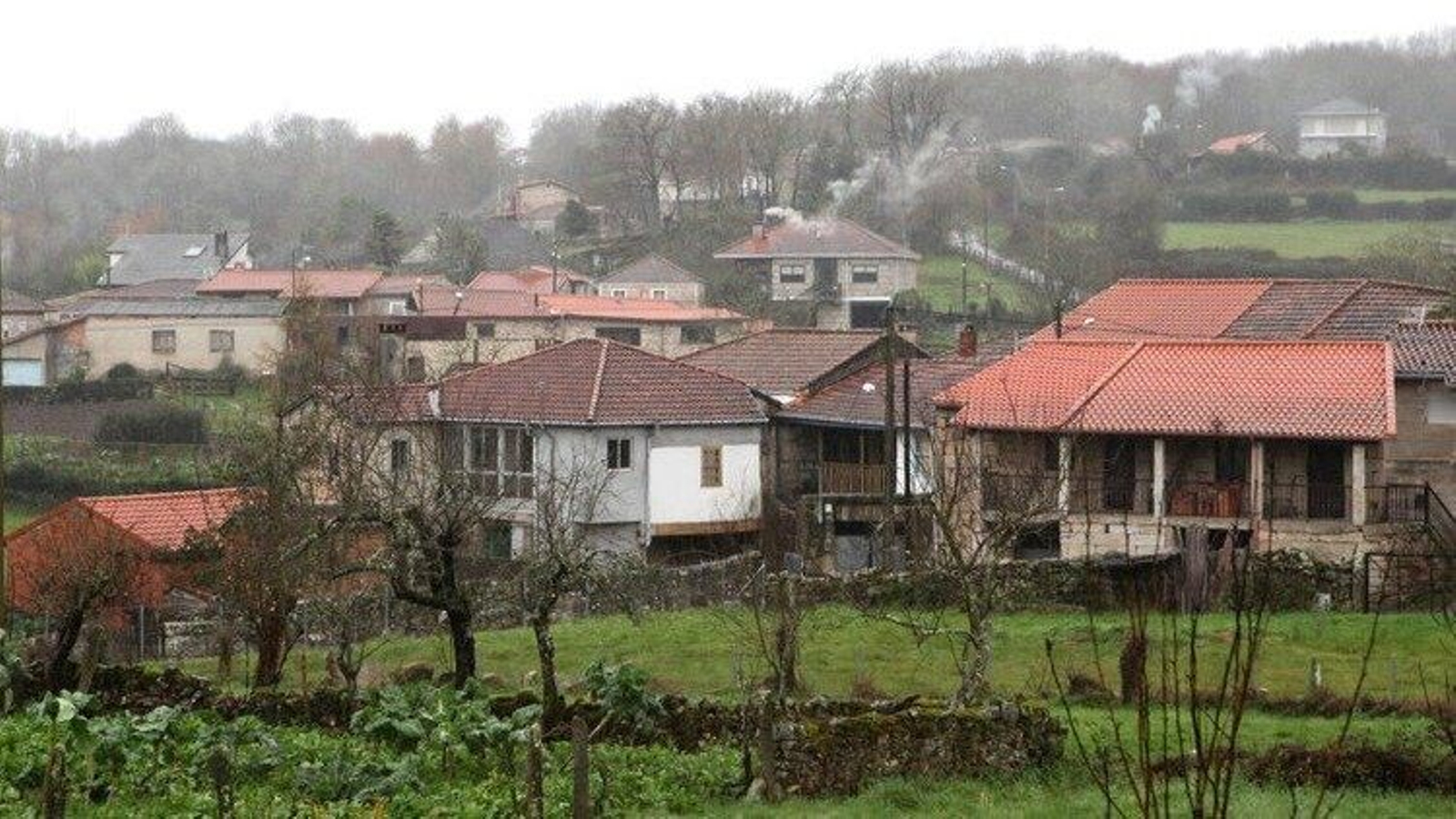 Zonas boscosas en las inmediaciones de San Mamede de Urros, en Allariz