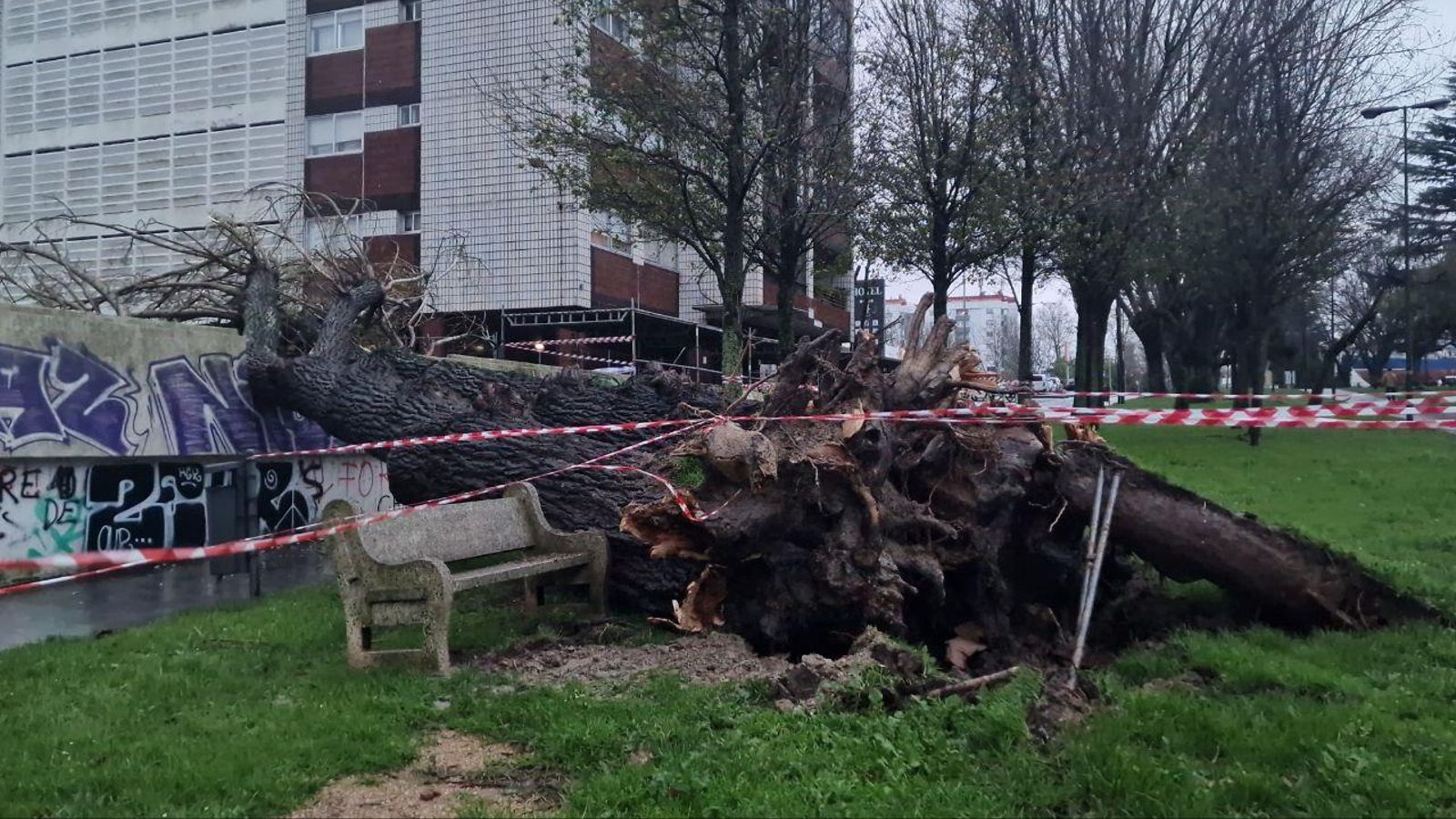 GALERÍA | Los estragos de la borrasca Herminia en Vigo